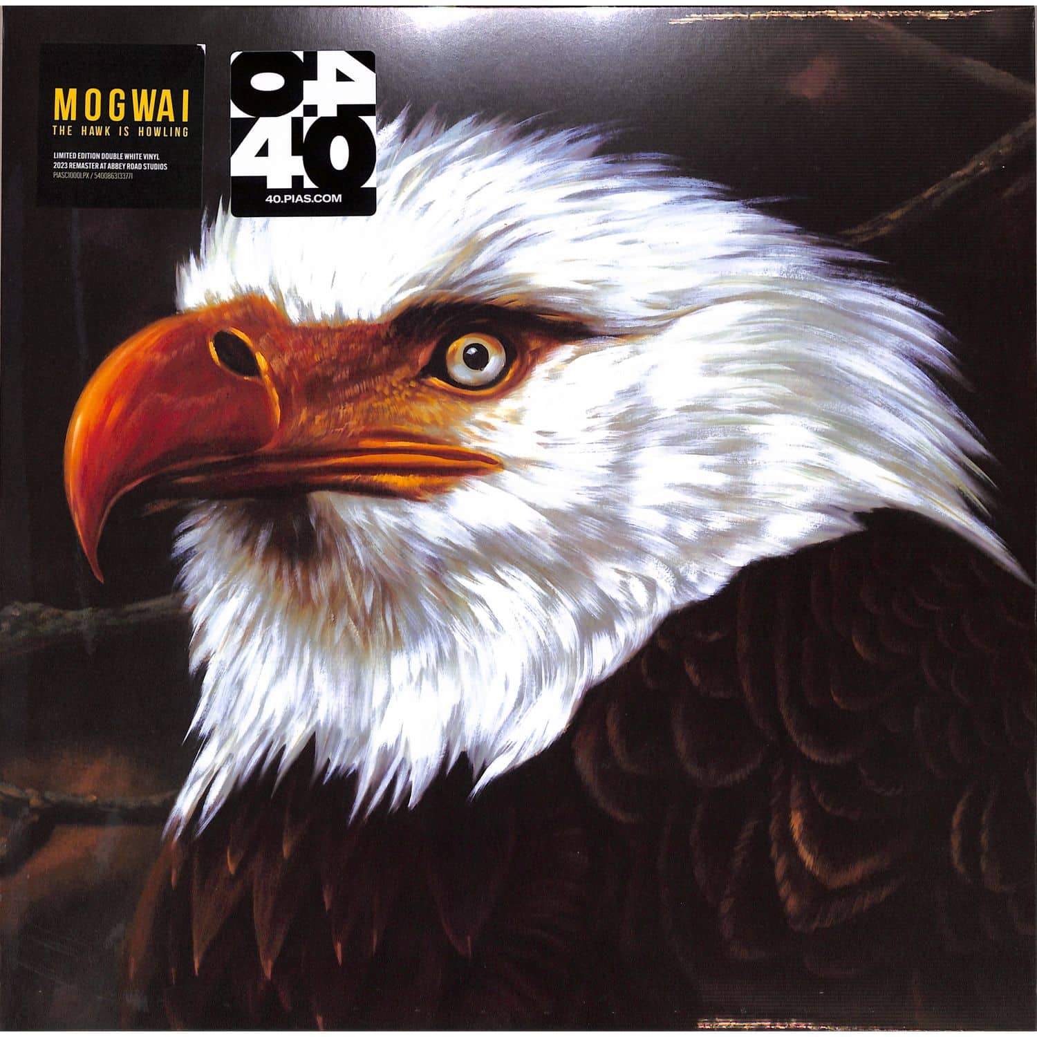 Mogwai - THE HAWK IS HOWLING 