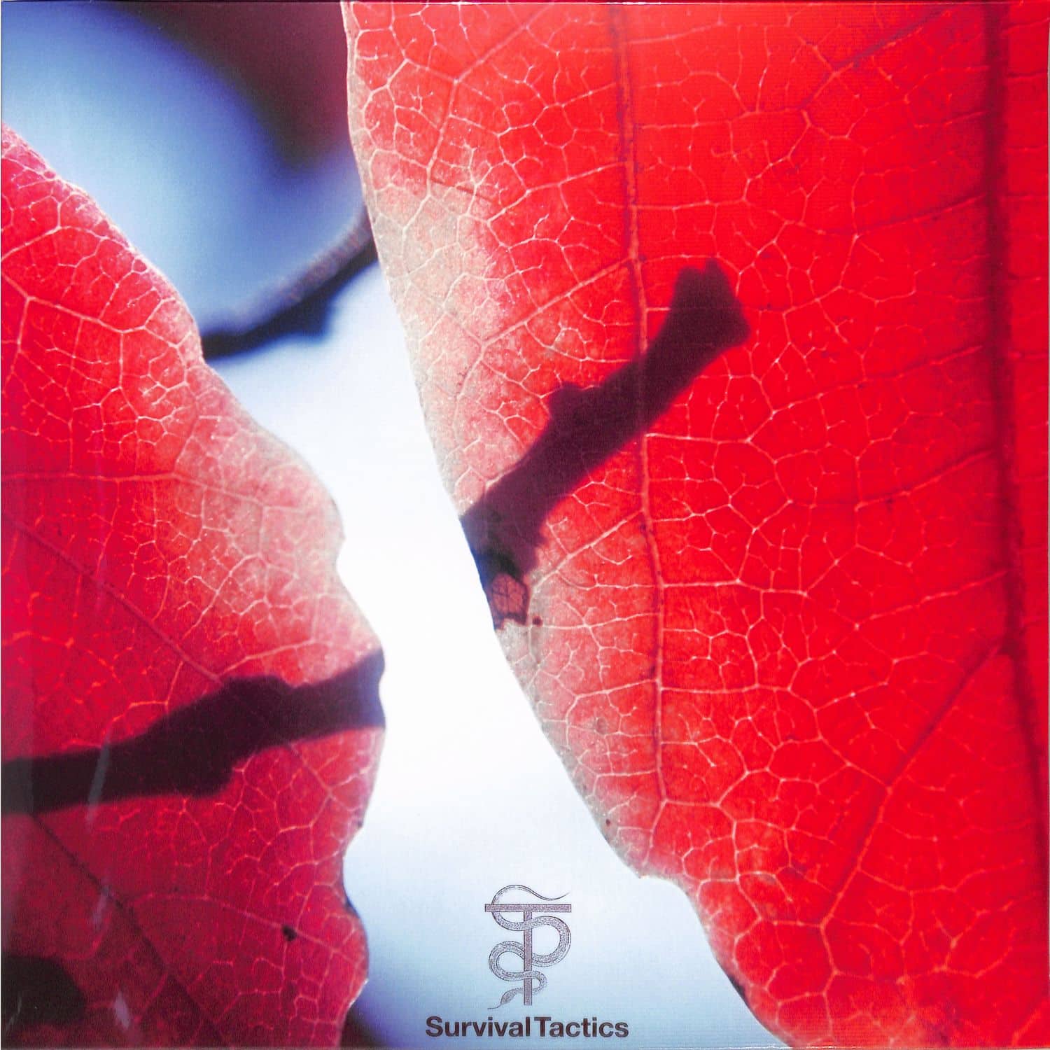 Tal Fussman - THE FINE LINE IN BETWEEN 