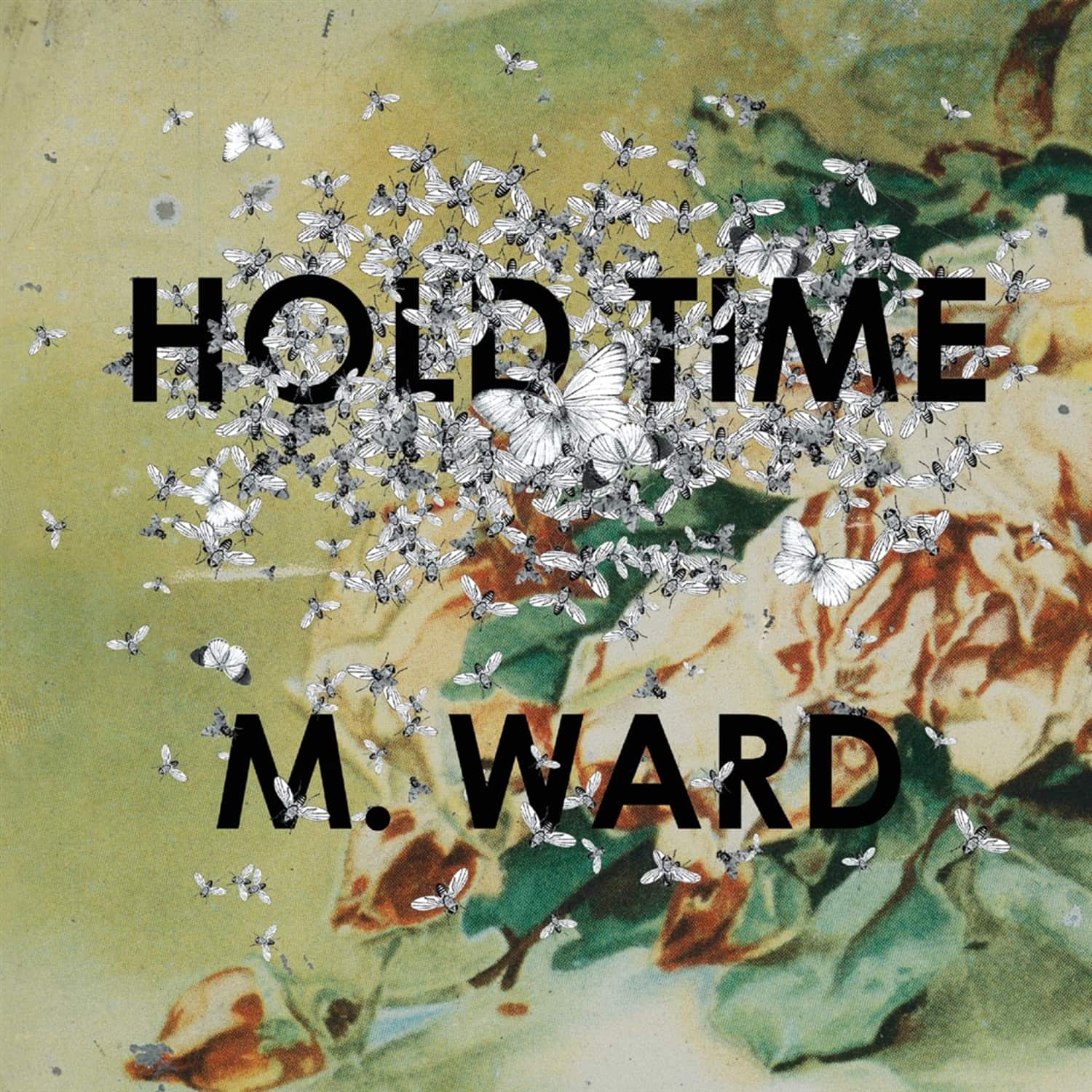 M. Ward - HOLD TIME 