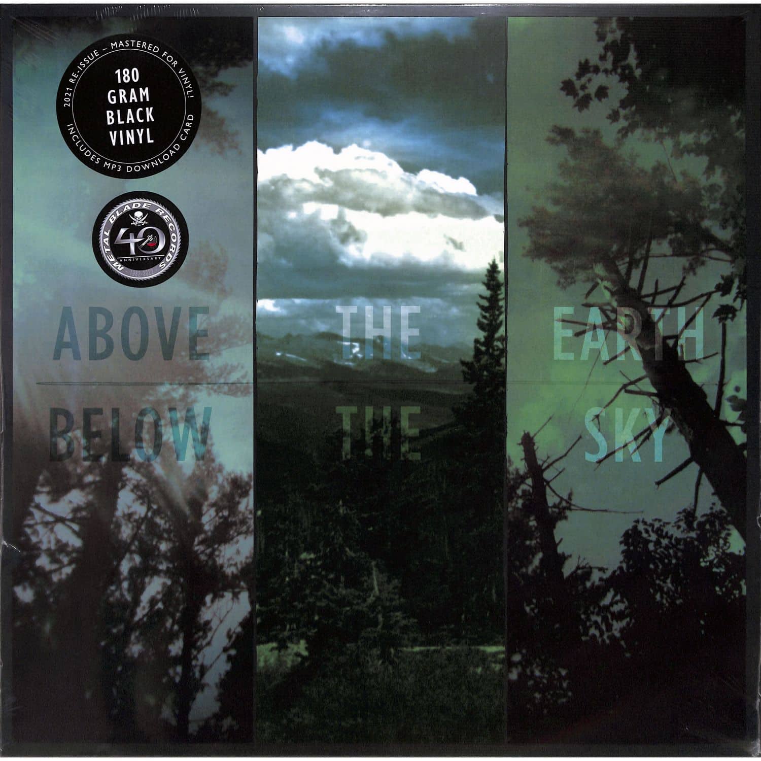 If These Trees Could Talk - ABOVE THE EARTH,BELOW THE SKY 