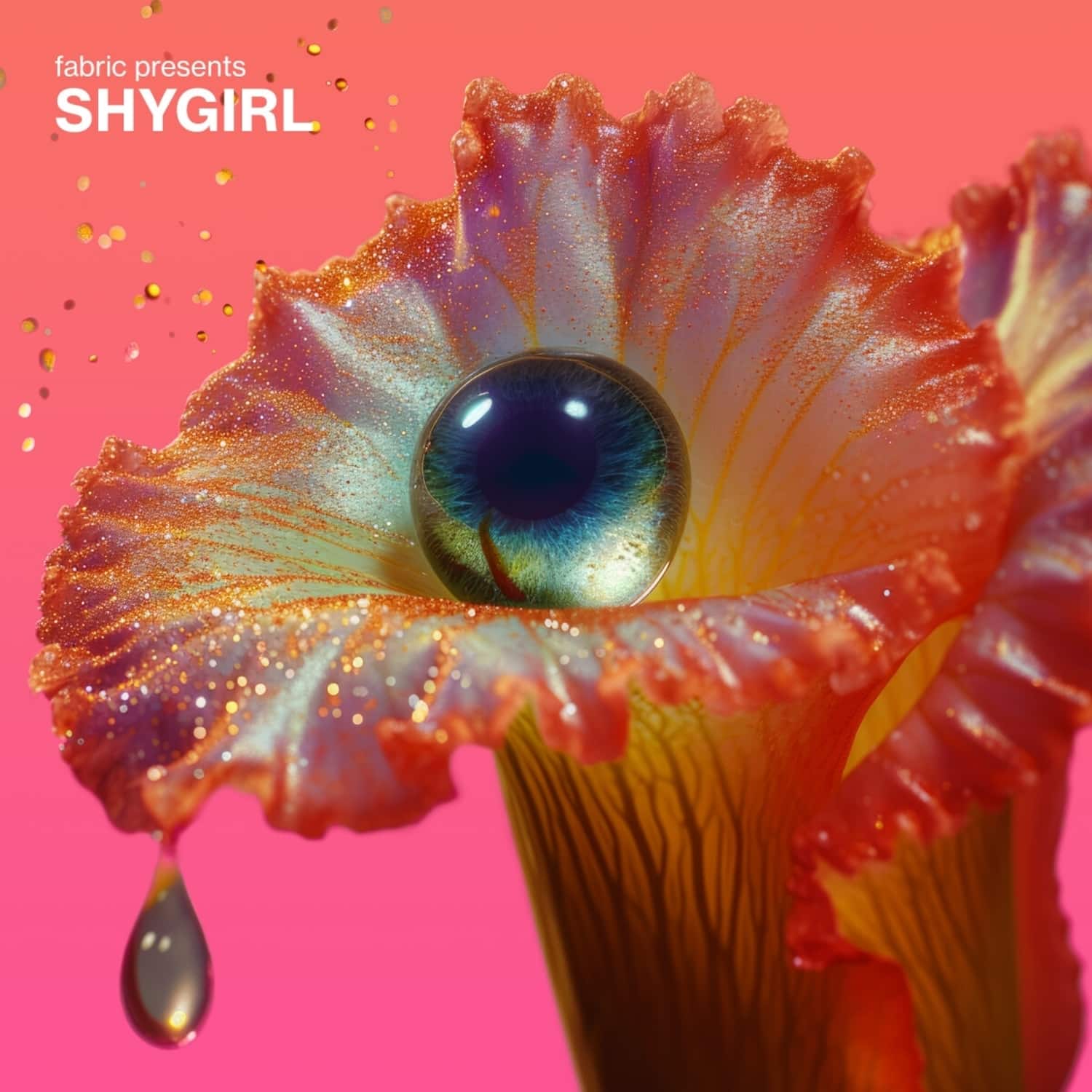 Shygirl - FABRIC PRESENTS: SHYGIRL 