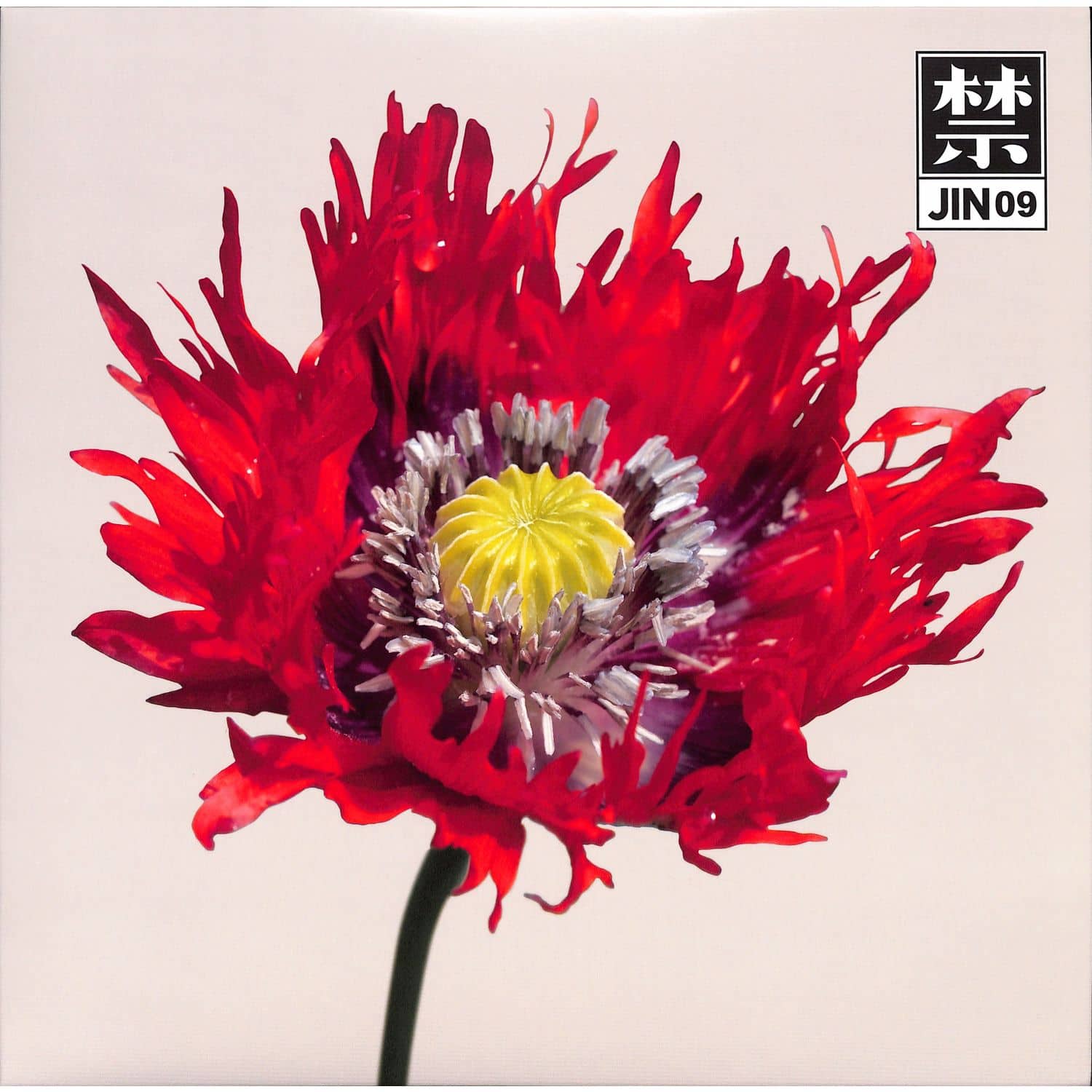 Cosmo - JIN09