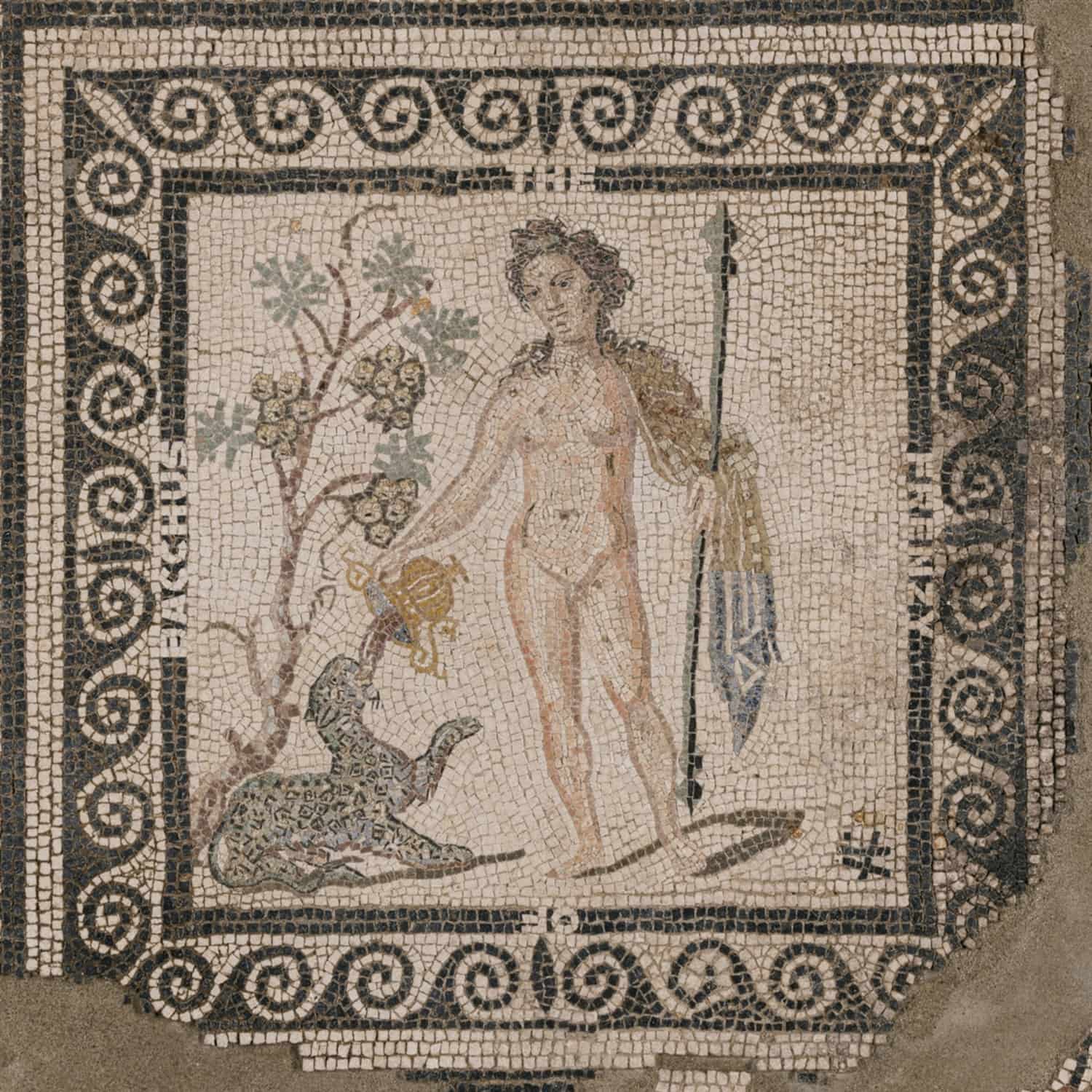 ASM  - THE FRENZY OF BACCHUS 