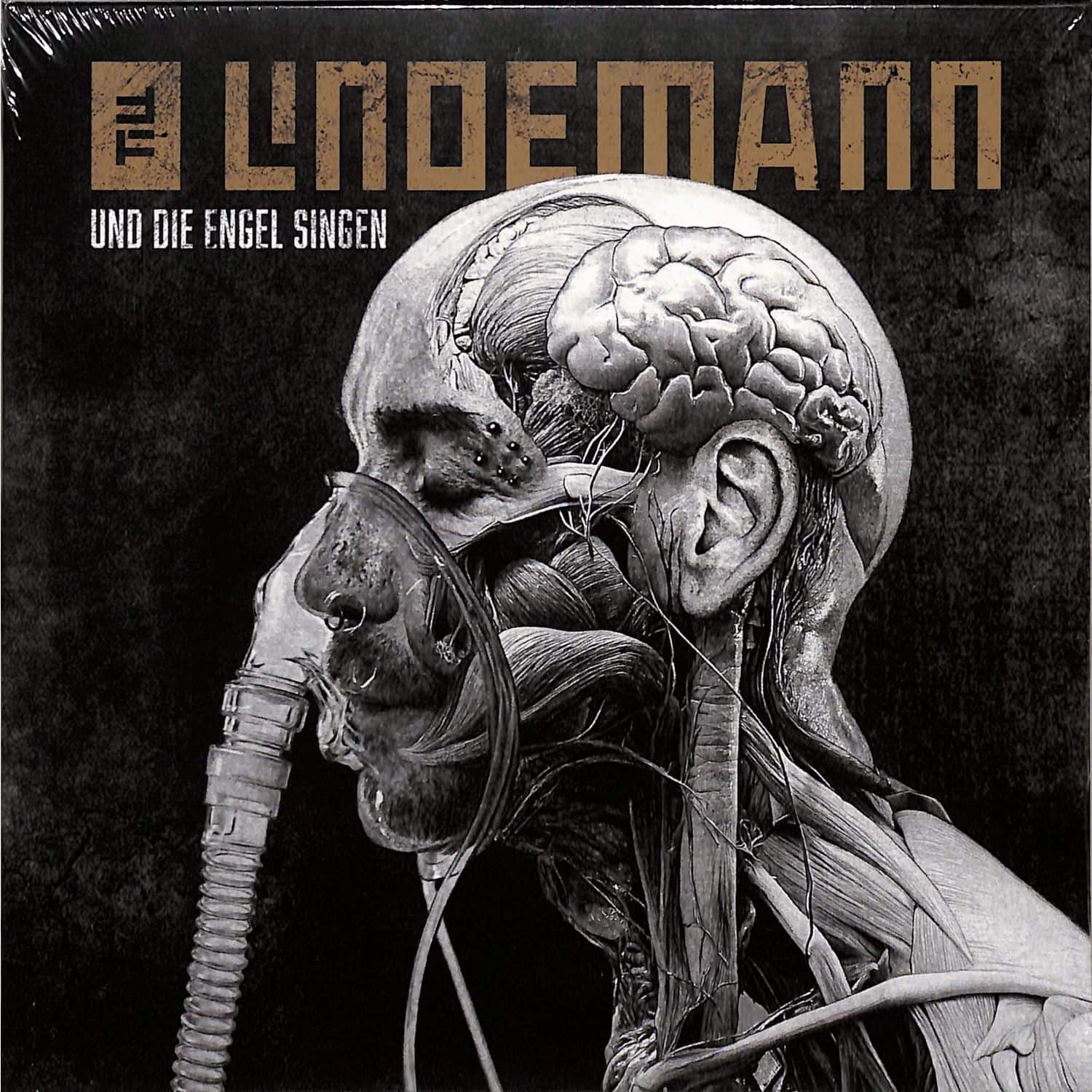 Till Lindemann - UND DIE ENGEL SINGEN