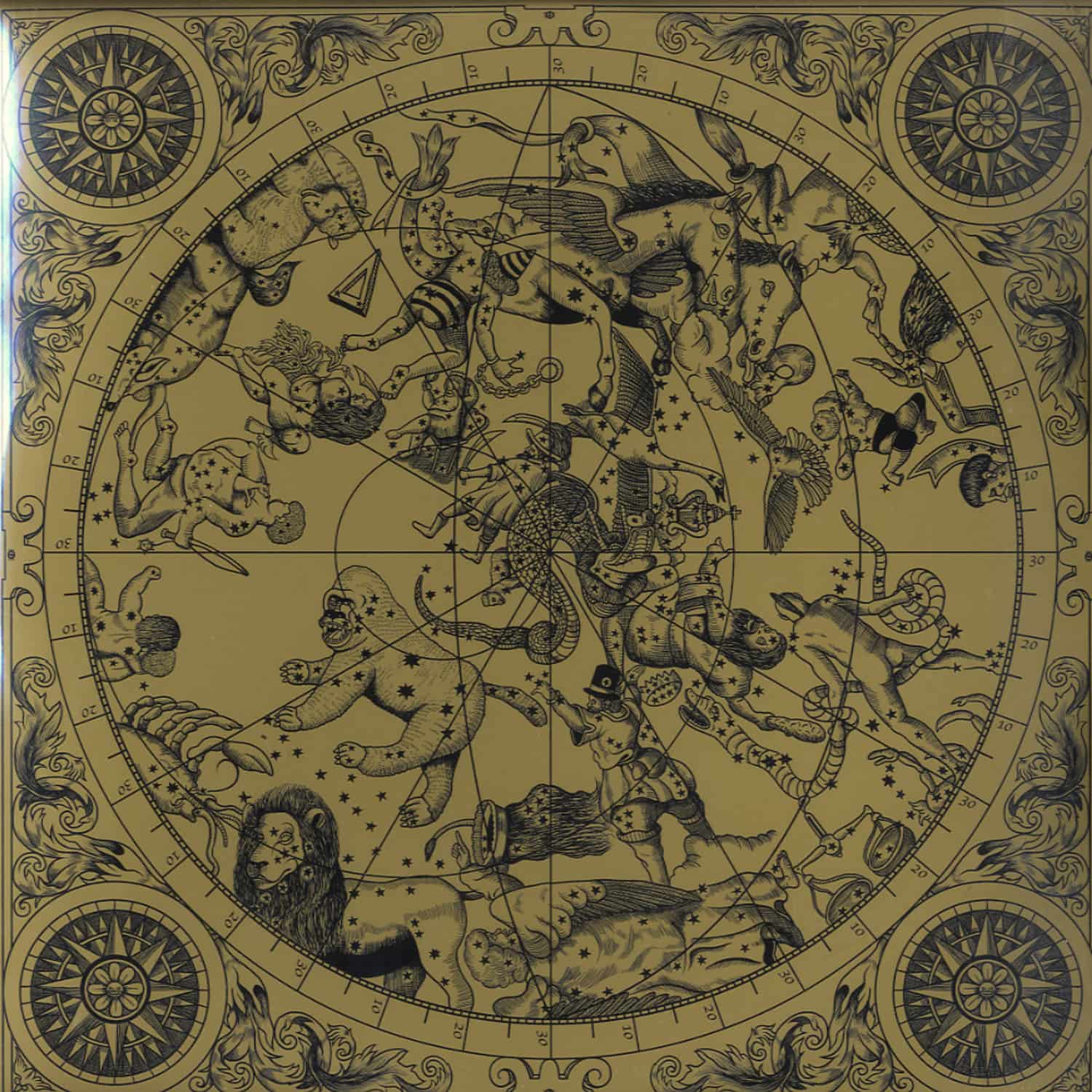 Rocha - FEEL THE LOVE / NIGHT MUSIC