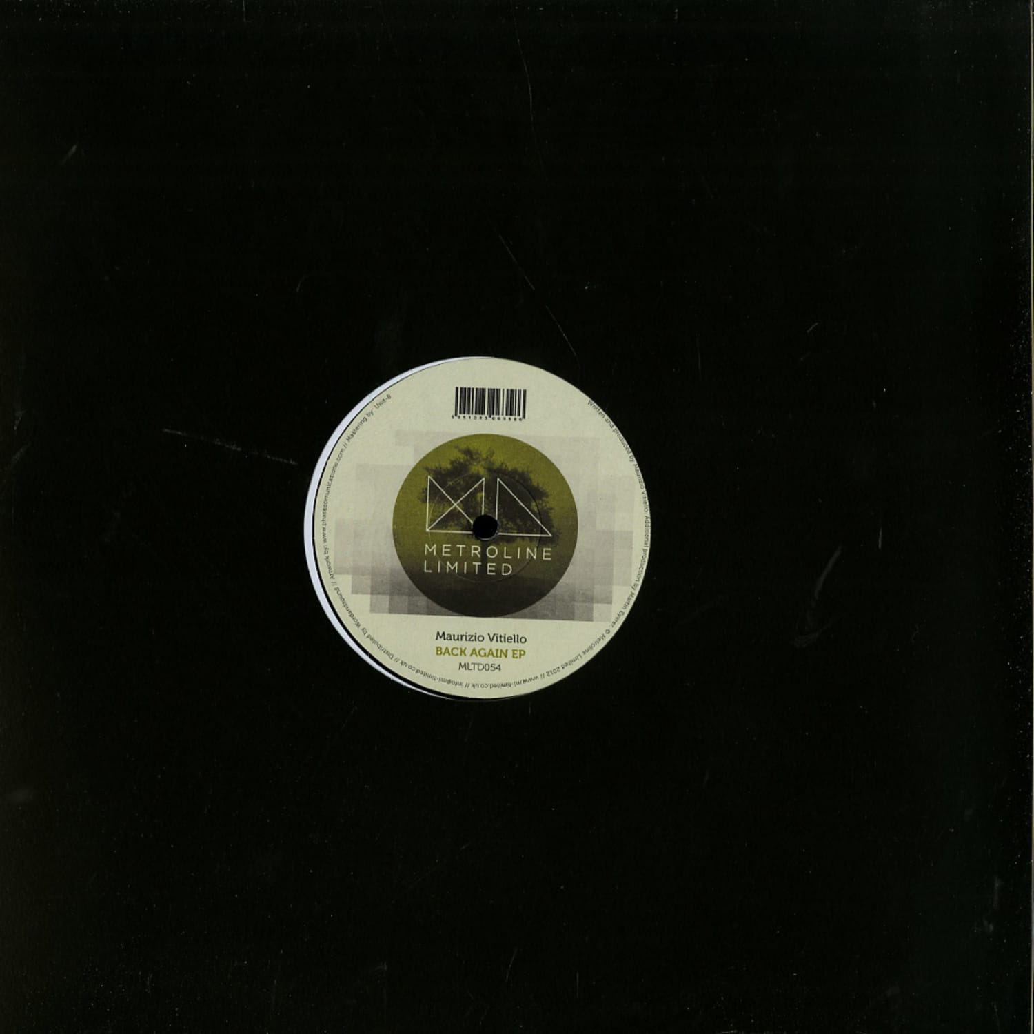 Maurizio Vitiello - BACK AGAIN