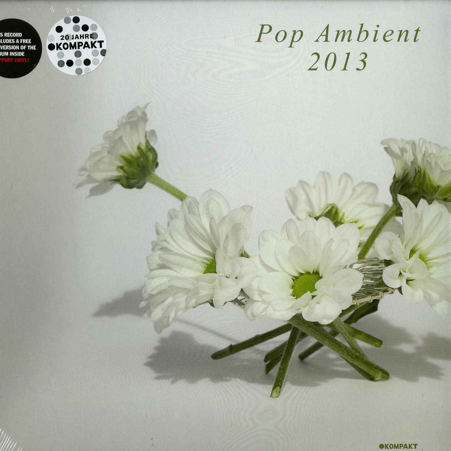 Various Artists - POP AMBIENT 2013 