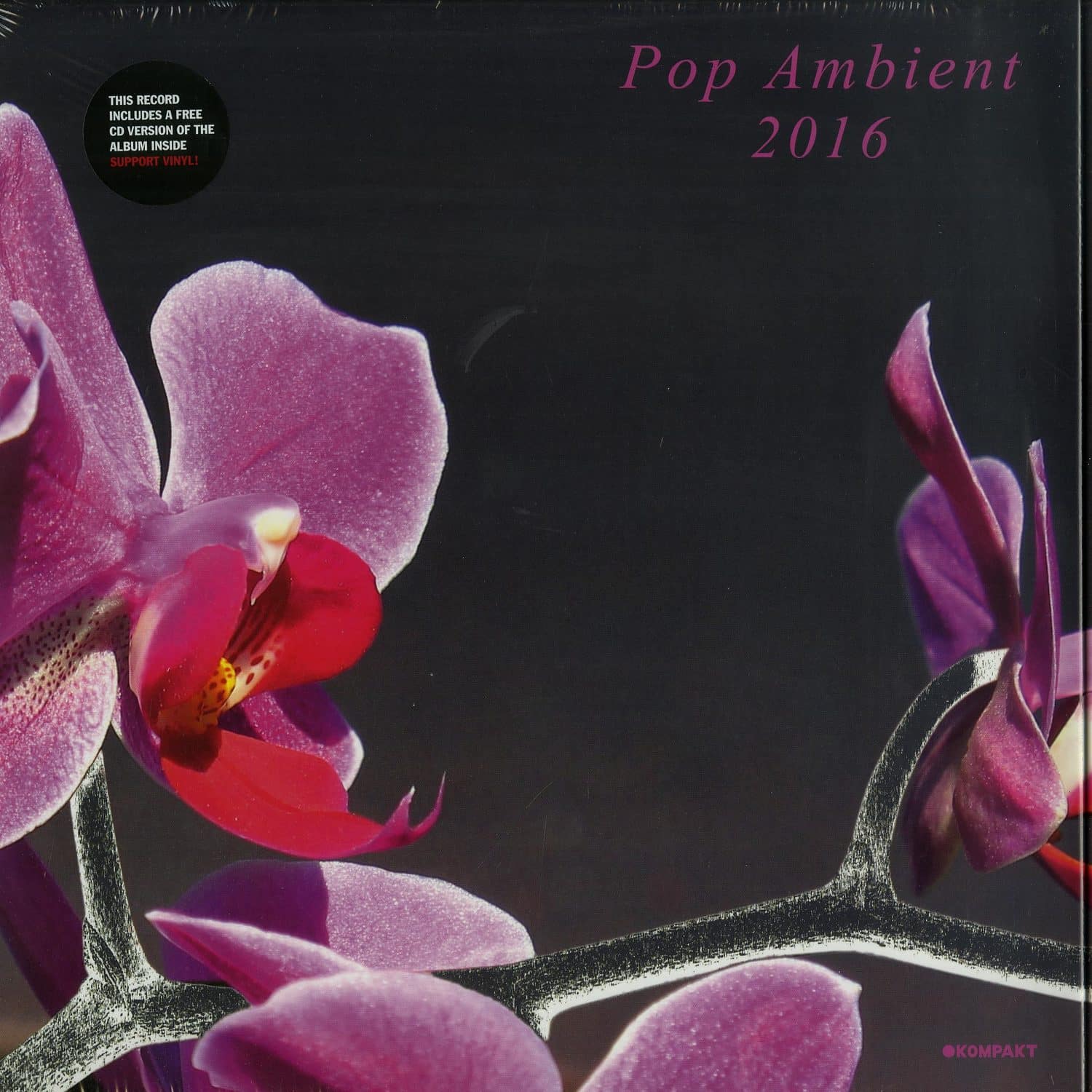 Various Artists - POP AMBIENT 2016 