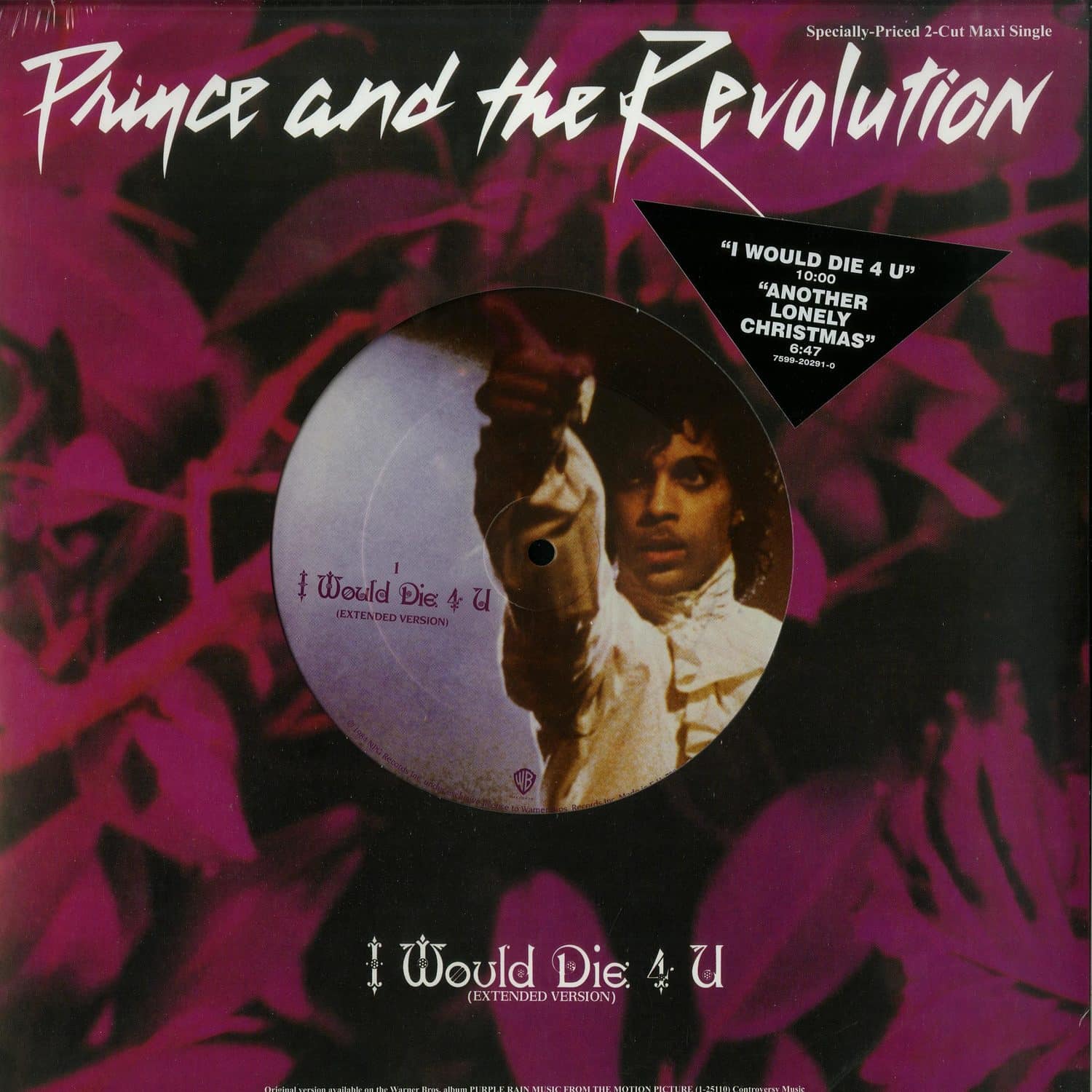 Prince and the Revolution - I WOULD DIE 4 U