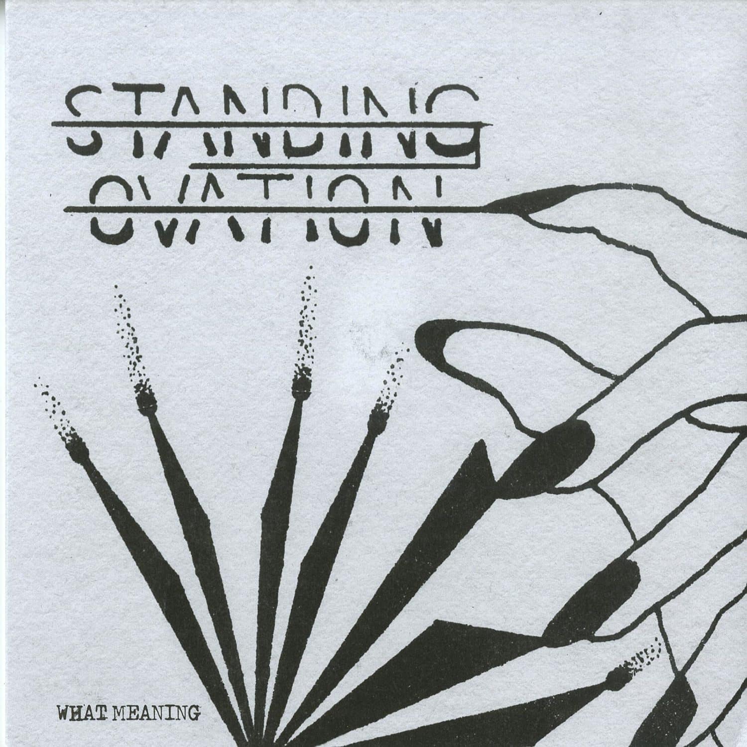 Standing Ovation - WHAT MEANING 