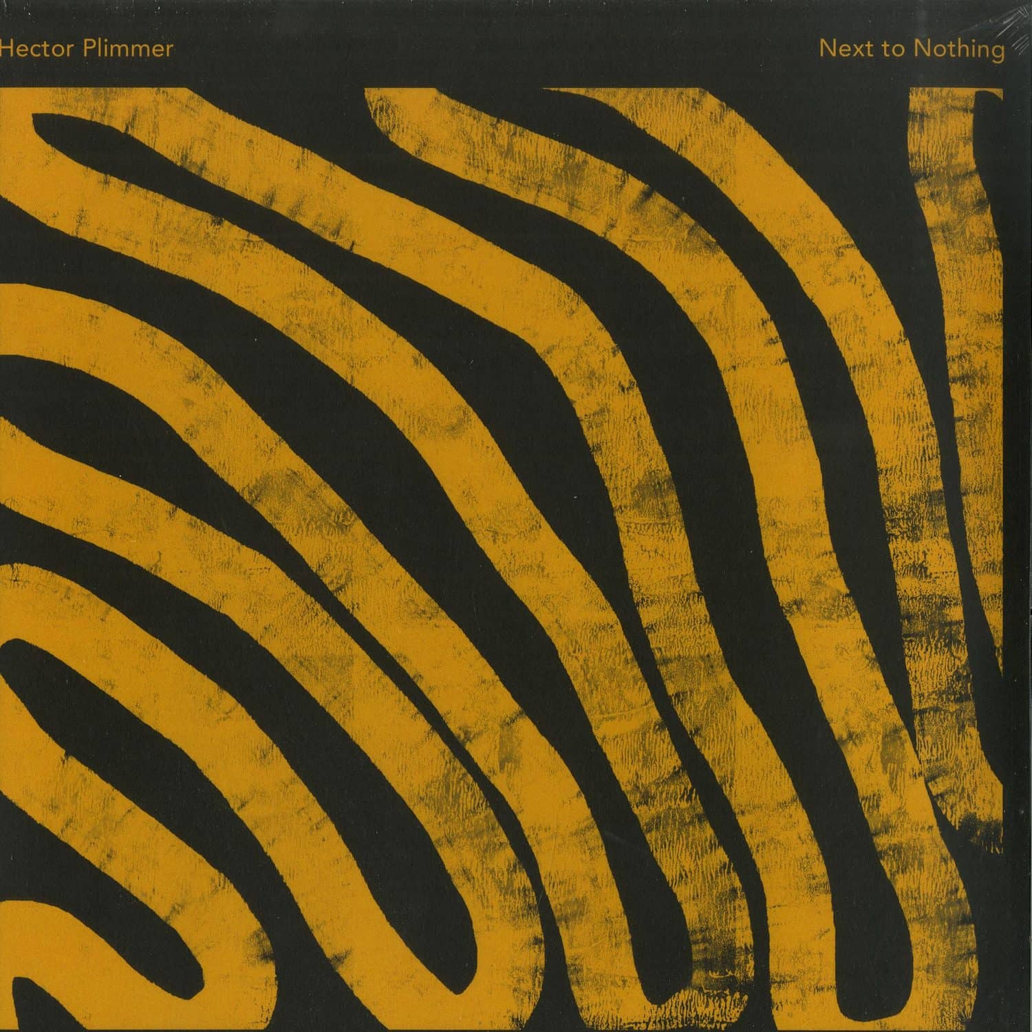 Hector Plimmer - NEXT TO NOTHING 