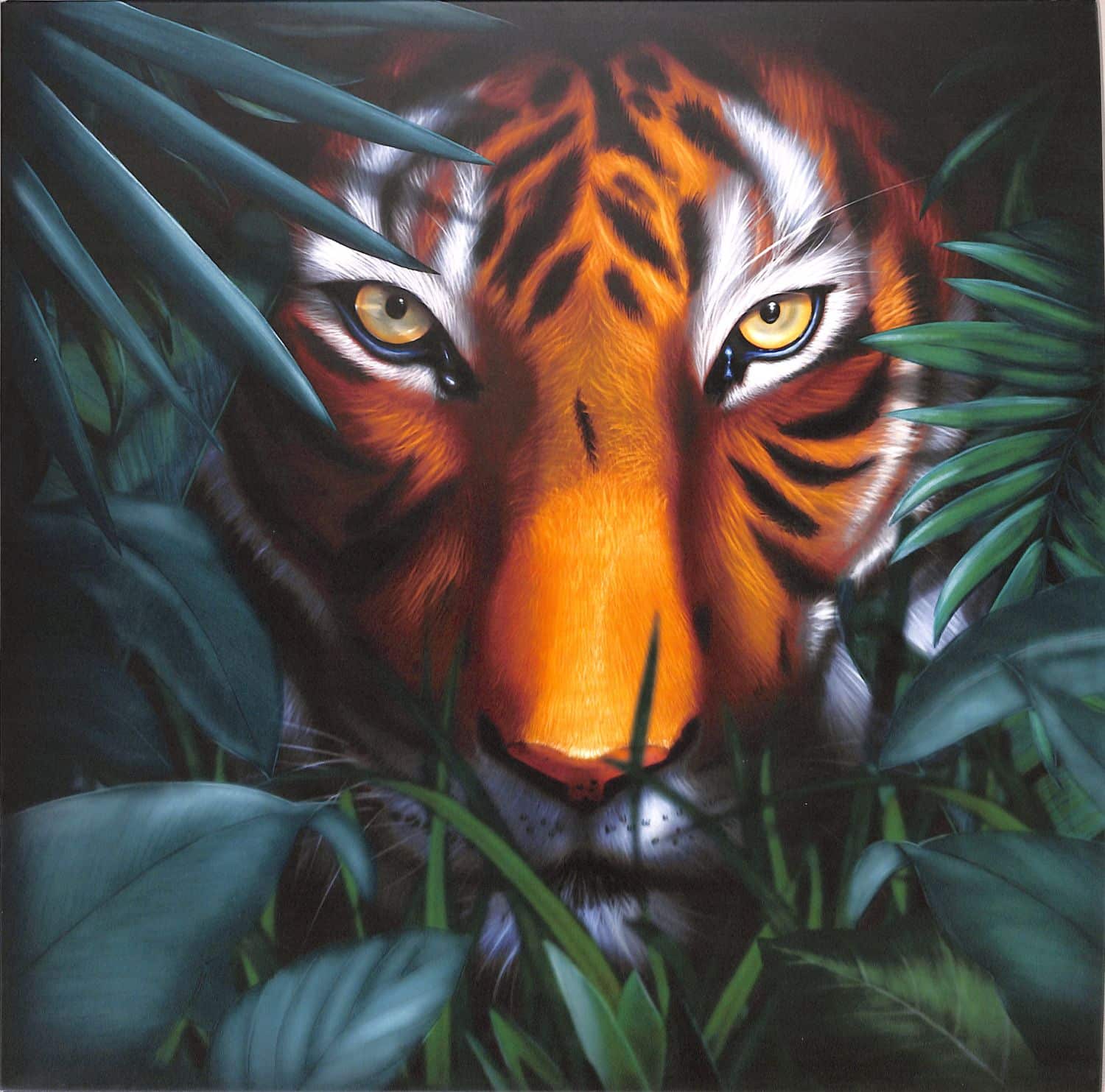 A Vision Of Panorama - UNIQUE TIGER 