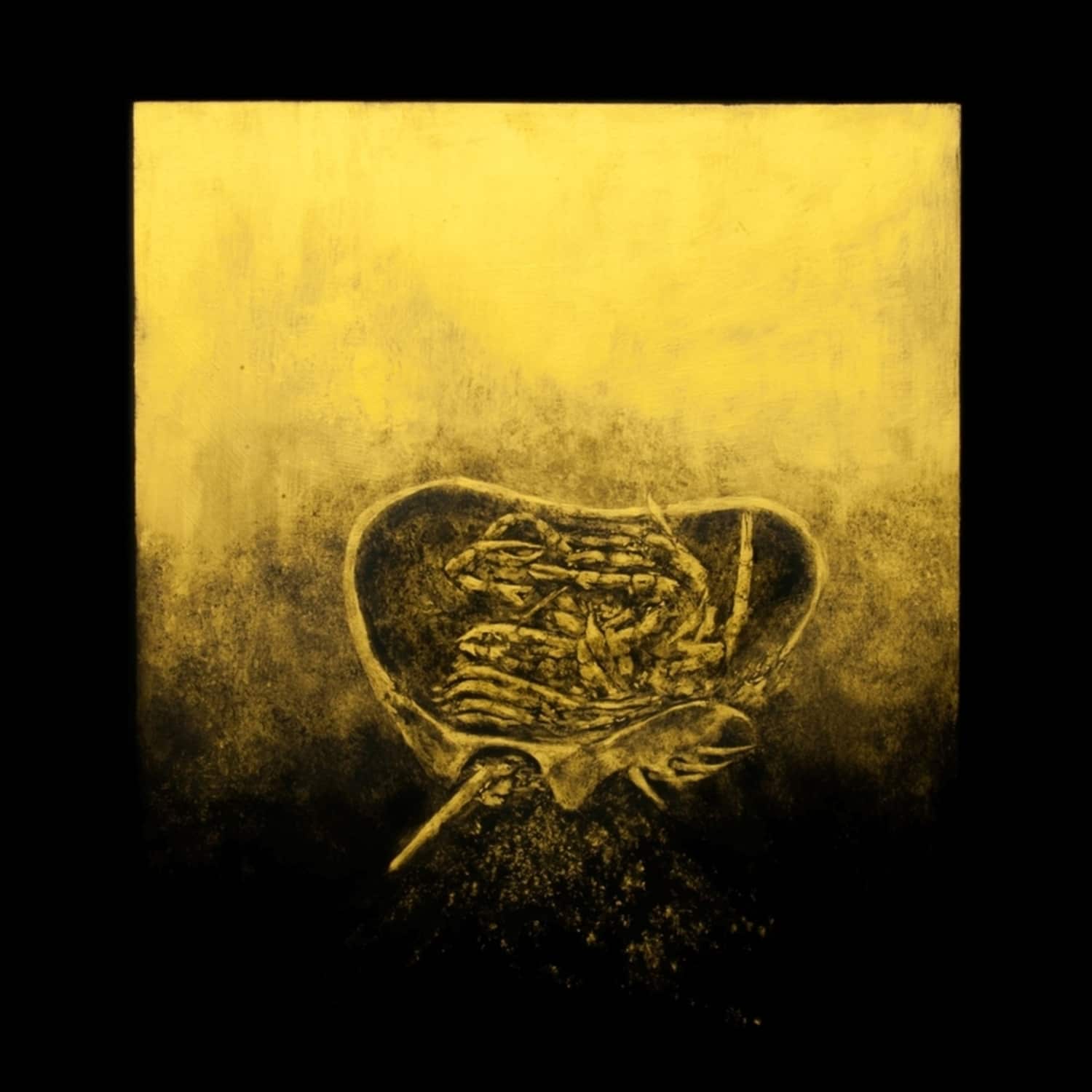 Luna Honey - BALLAST 