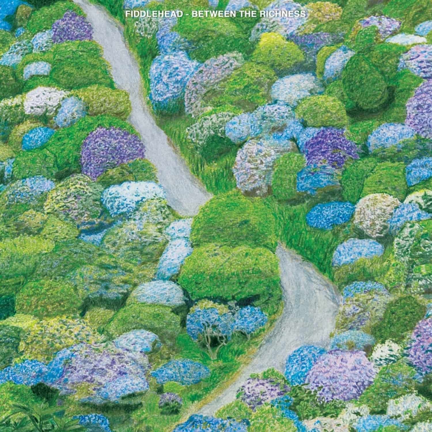 Fiddlehead - BETWEEN THE RICHNESS 