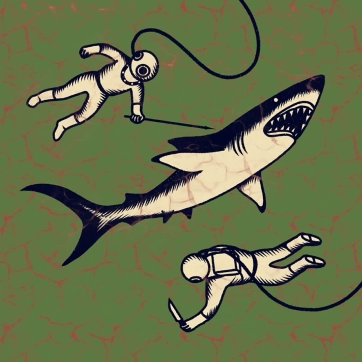 Shepparton Airplane - SHARKS 