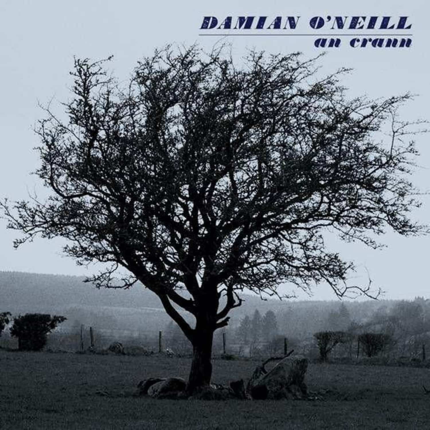 Damian O Neill - AN CRANN 