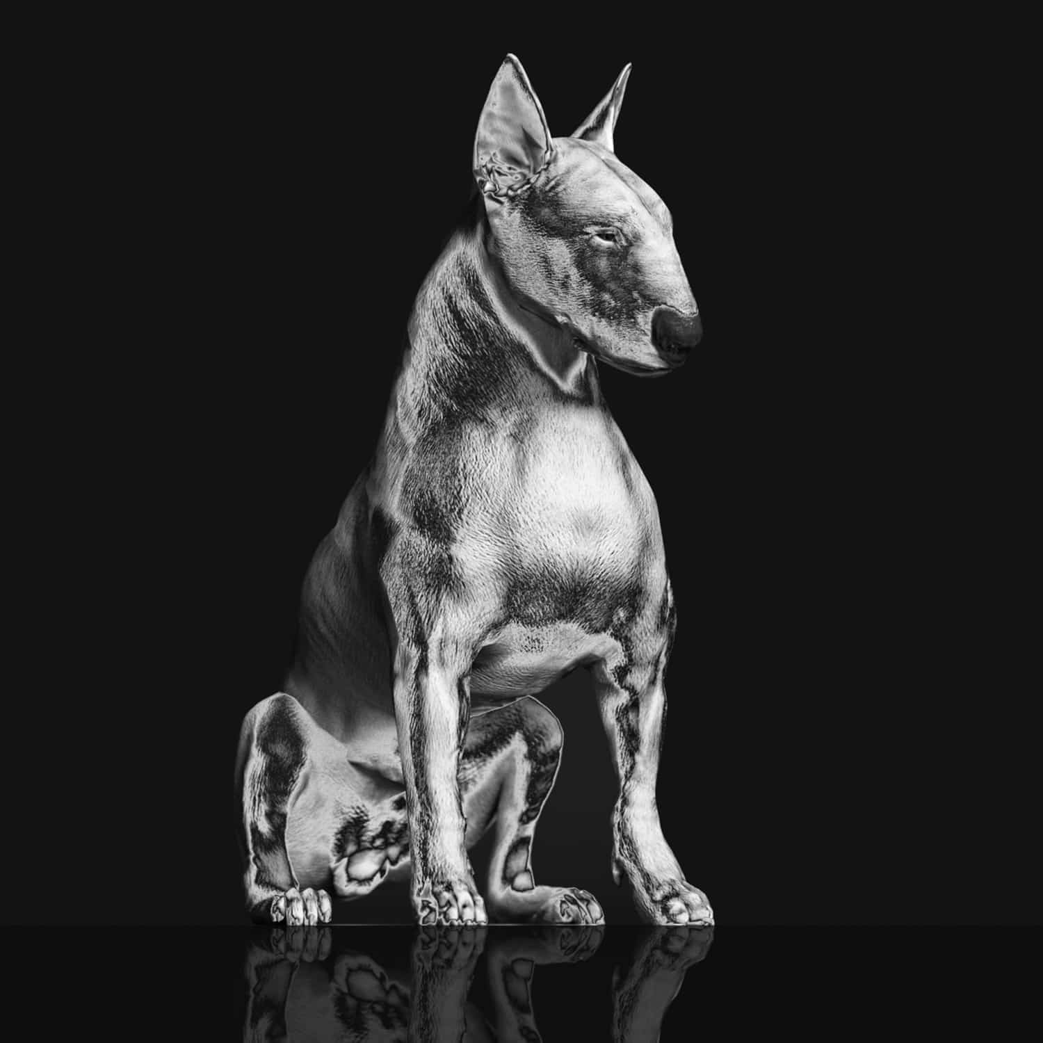 Riskee & The Ridicule - PLATINUM STATUE 