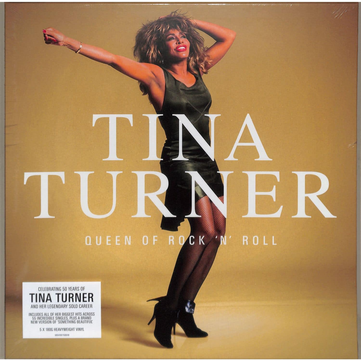 Tina Turner - QUEEN OF ROCK N ROLL 