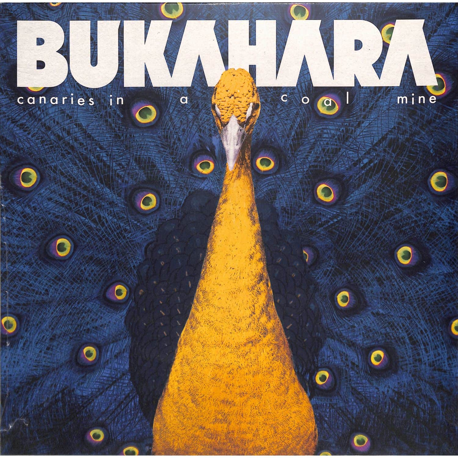Bukahara - CANARIES IN A COAL MINE 