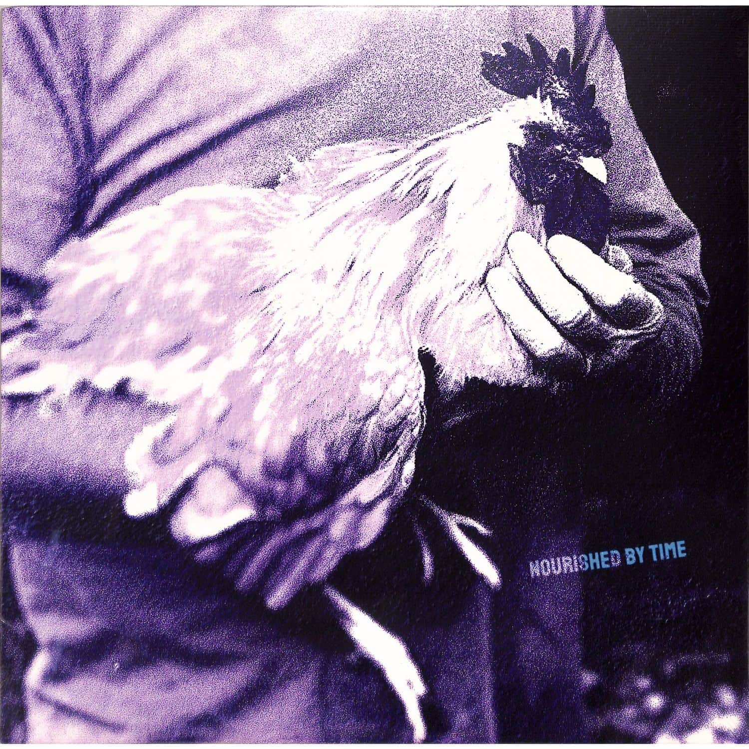Nourished by Time - CATCHING CHICKENS EP