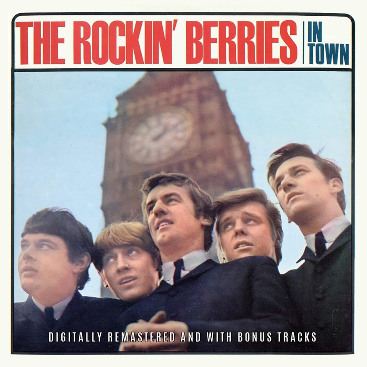 The Rockin Berries - IN TOWN 