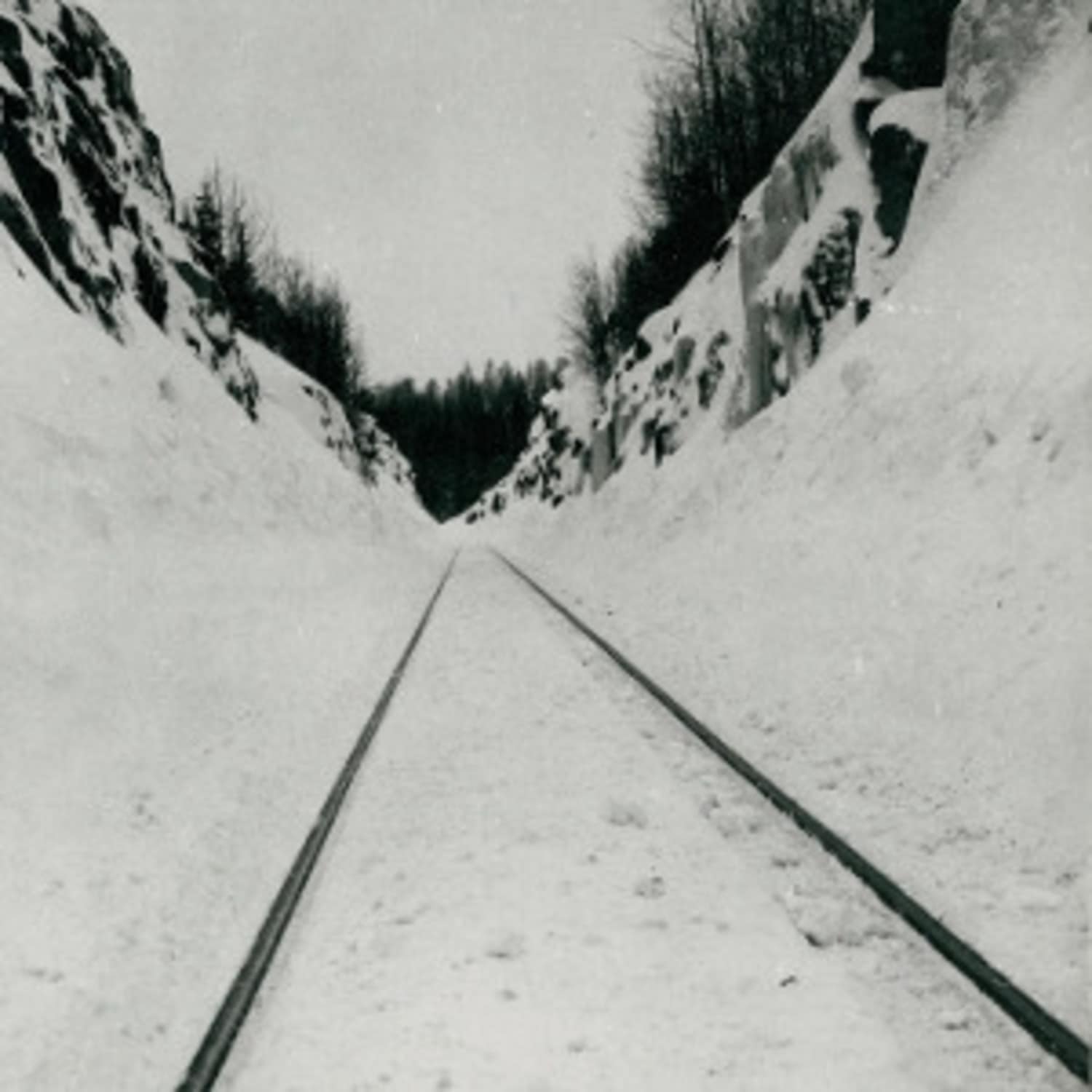 Microtub - THIN PEAKS