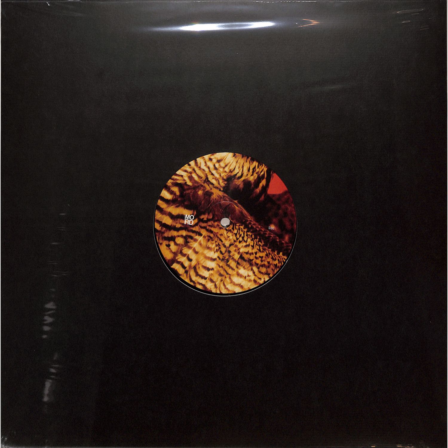 Amorphic & Tensal - HIGHLAND FREQUENCIES EP