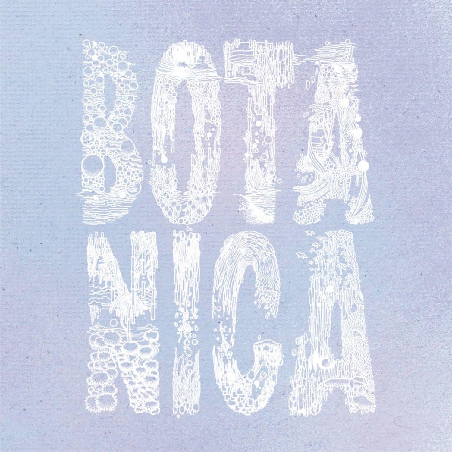 Iori Wakasa - THE PARTY IS HERE EP