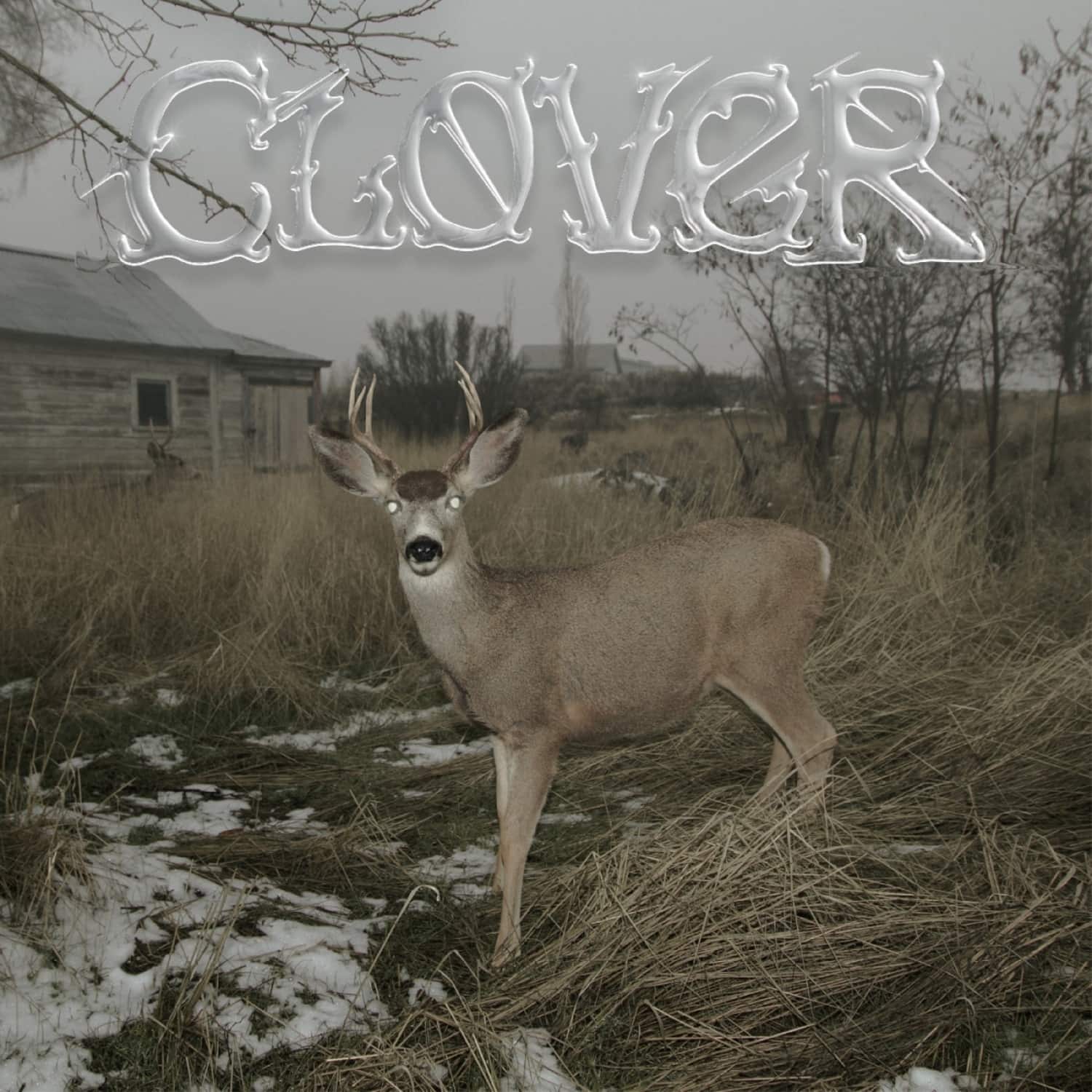 Sleeper s Bell - CLOVER 