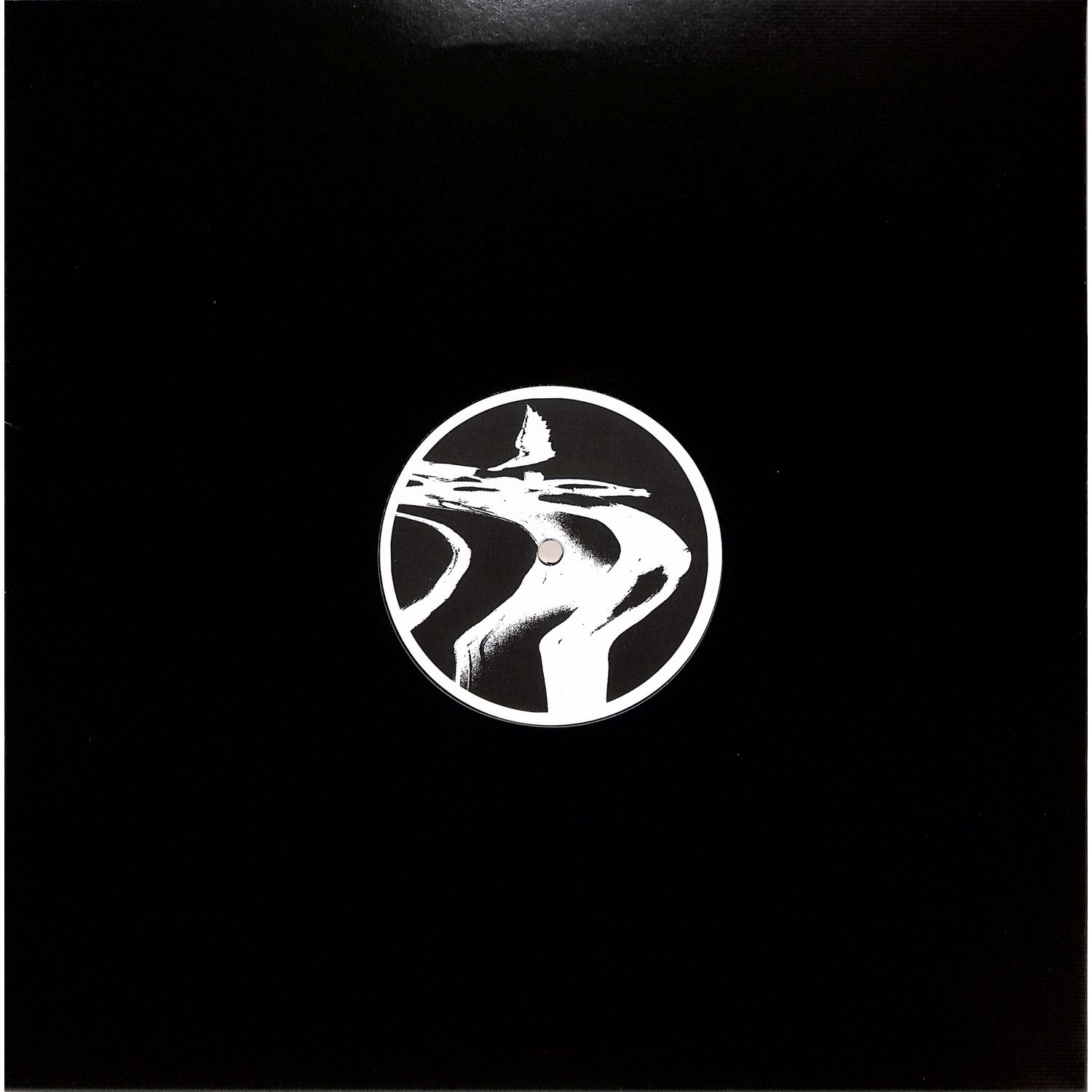 The Chronics - VOICES FROM THE VOID EP