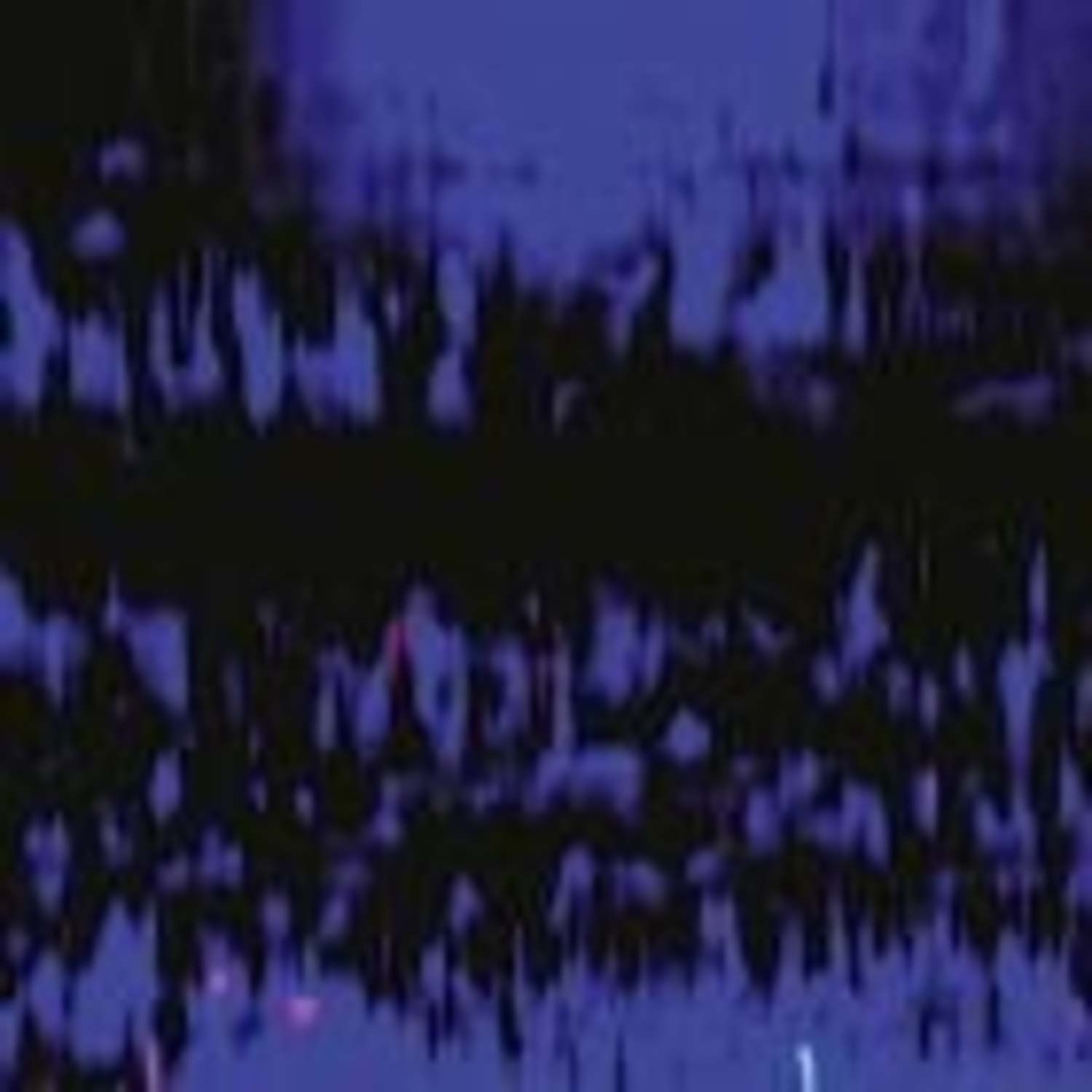 Valentino Mora - BIOTOPE