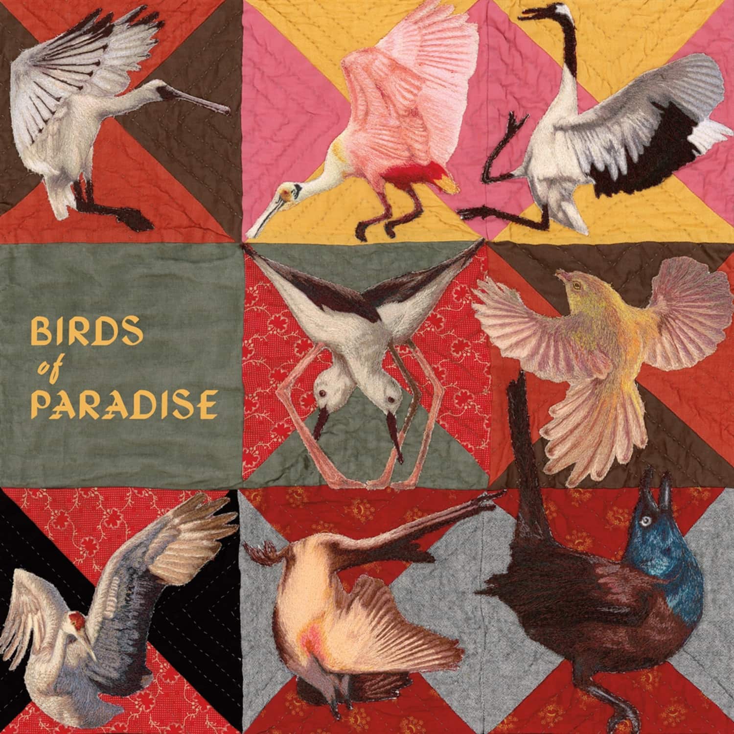 Thomas Dollbaum - BIRDS OF PARADISE