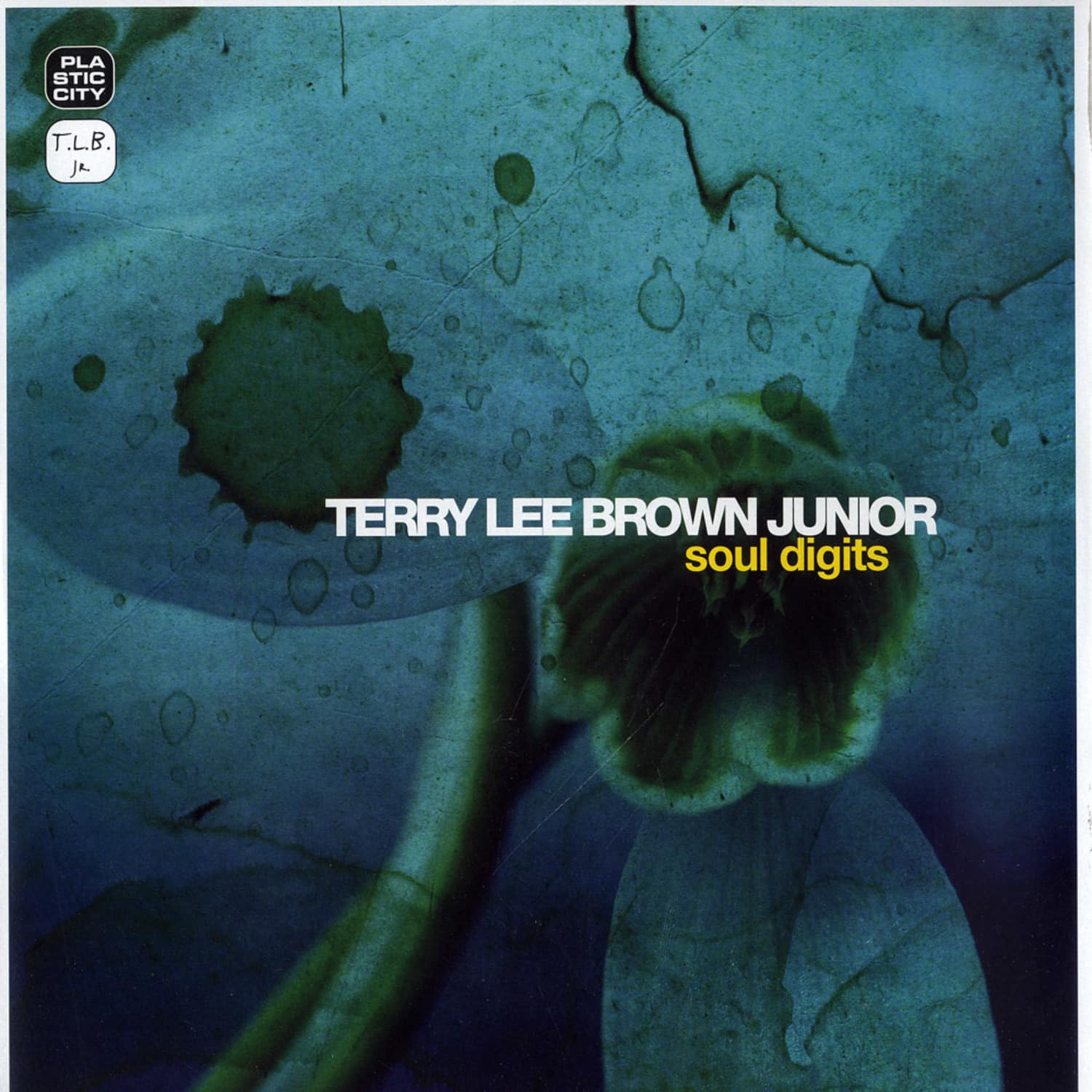 Terry Lee Brown Junior - SOUL DIGITS