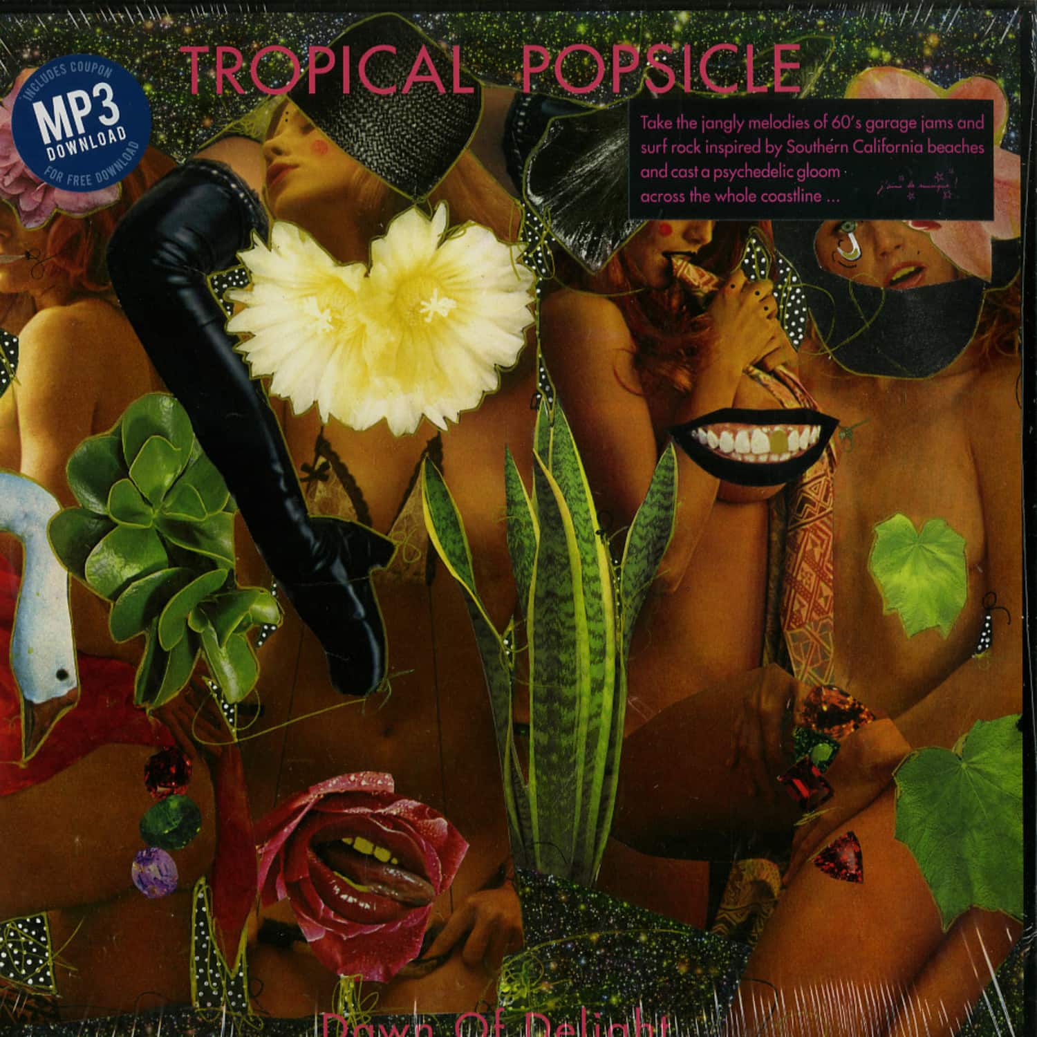 Tropical Popsicle - DAWN OF DELIGHT 