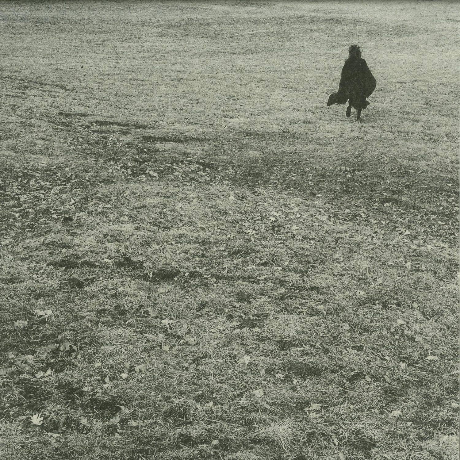 Willrijk - MELTING BLUES