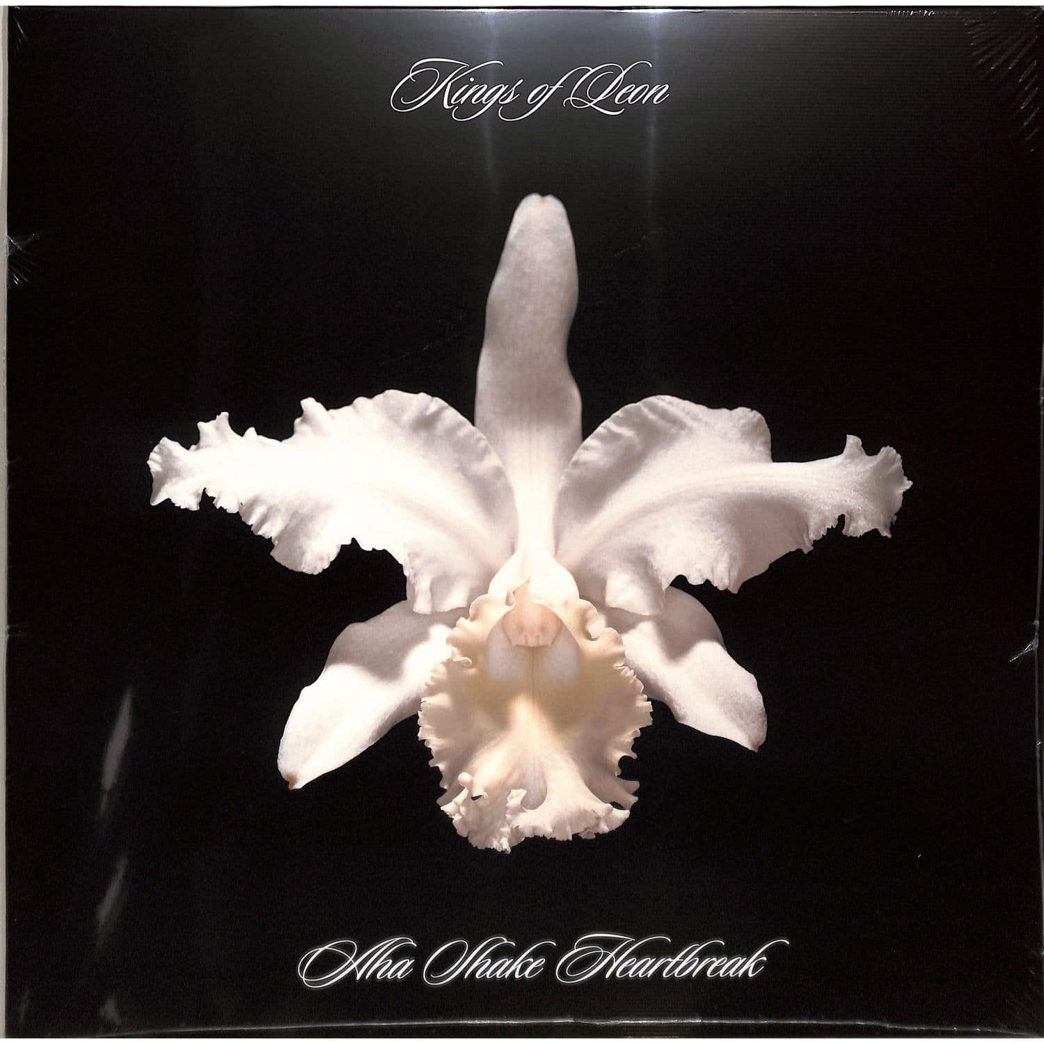 Kings Of Leon - AHA SHAKE HEARTBREAK 