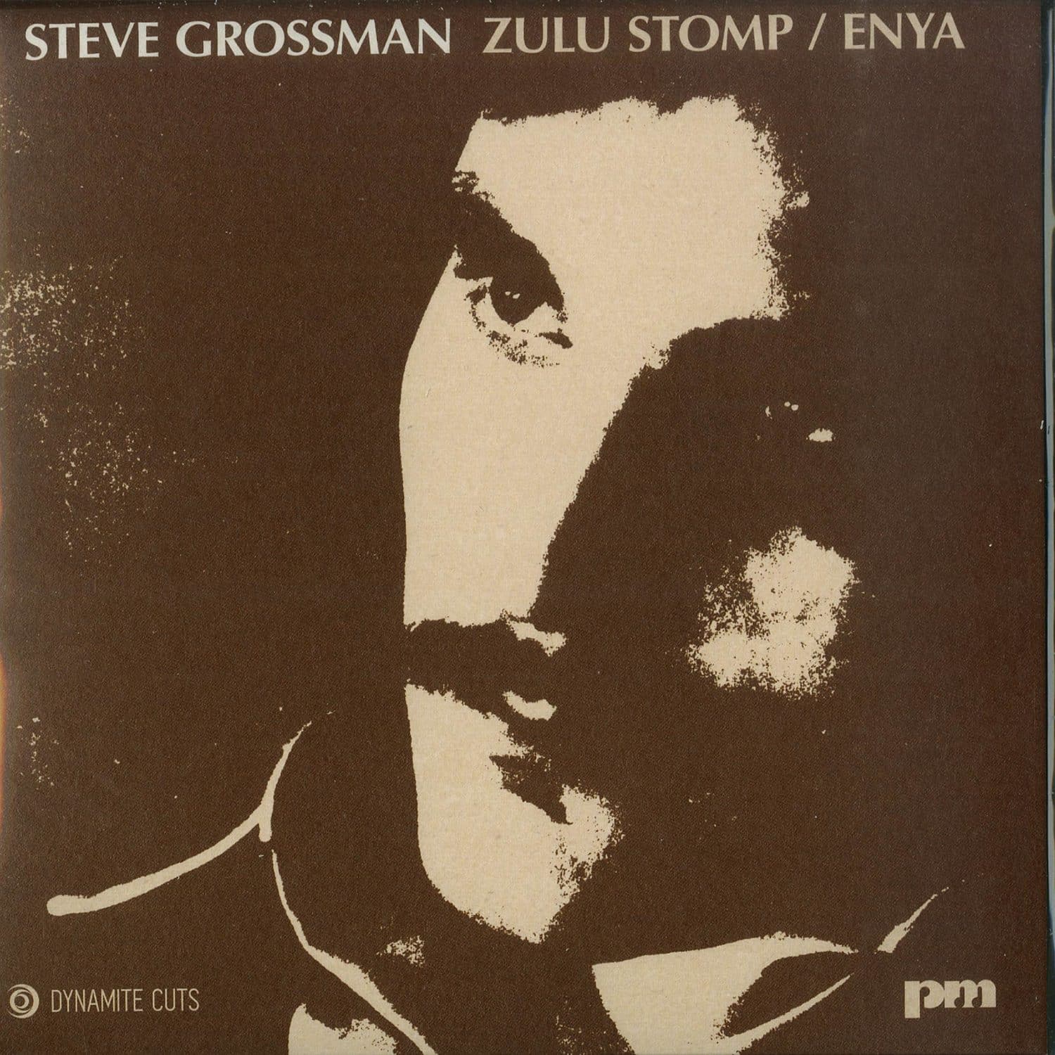 Steve Grossman - ZULU STOMP / ENYA 