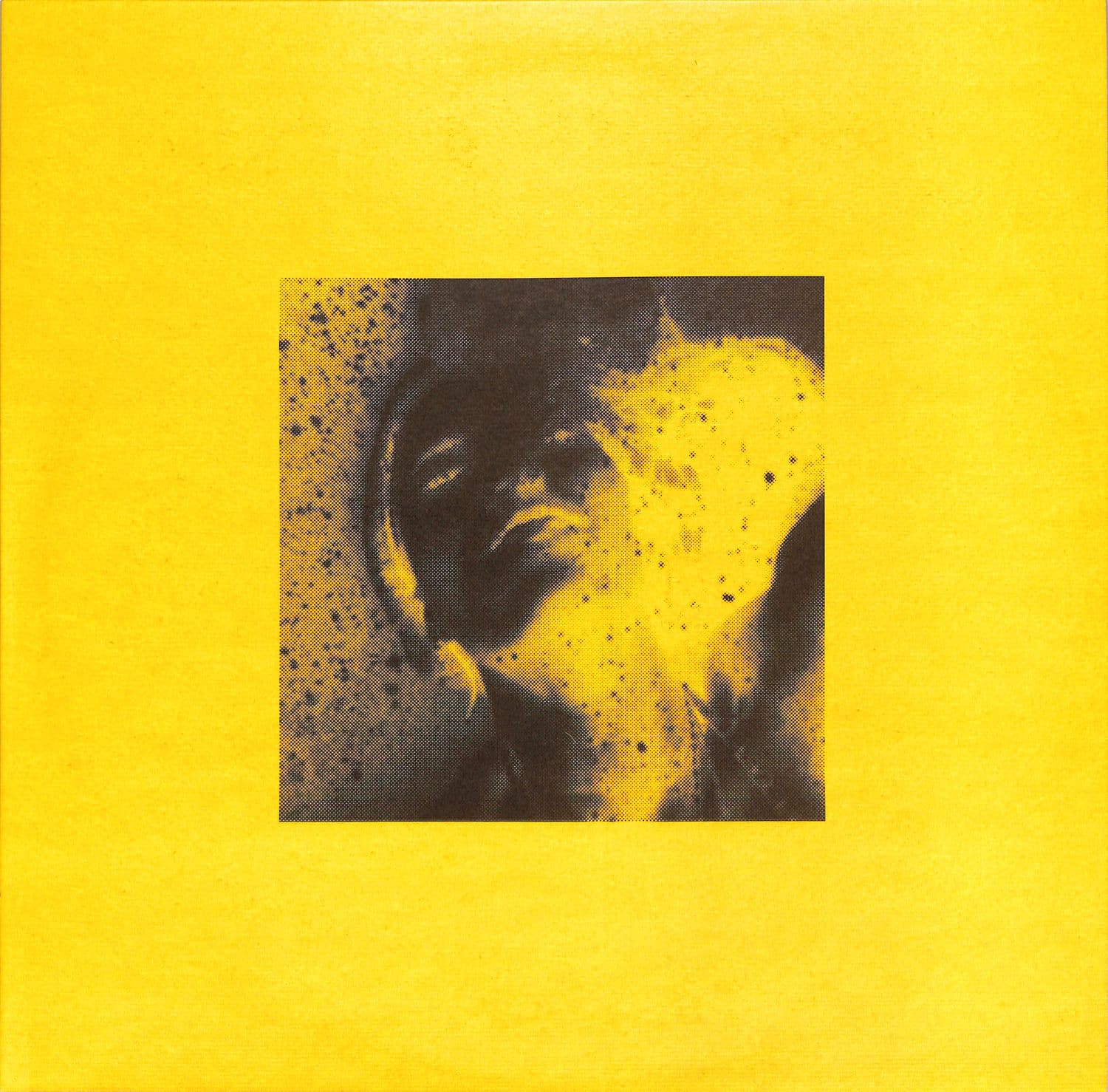 Marcela Dias Sindaco - BIEJO ELETRICO