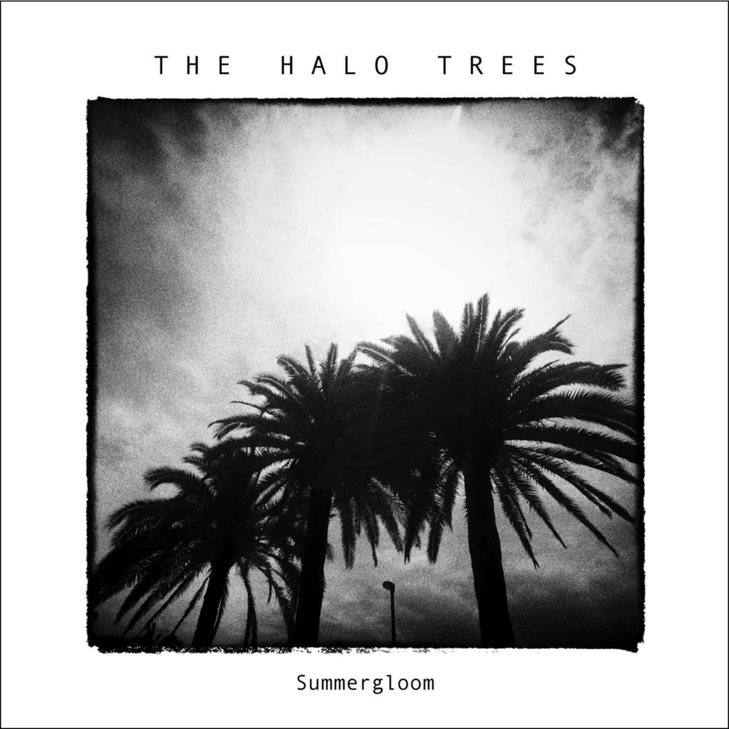 The Halo Trees - SUMMERGLOOM 