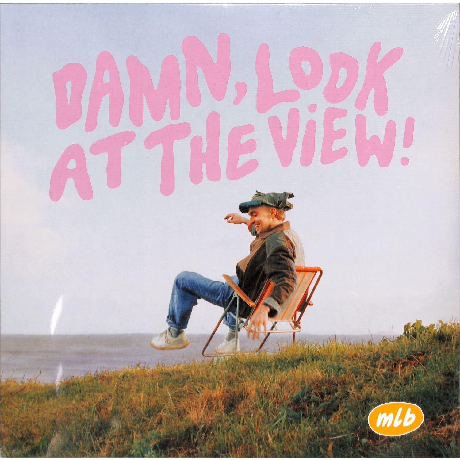 Martin Luke Brown - DAMN, LOOK AT THE VIEW! 