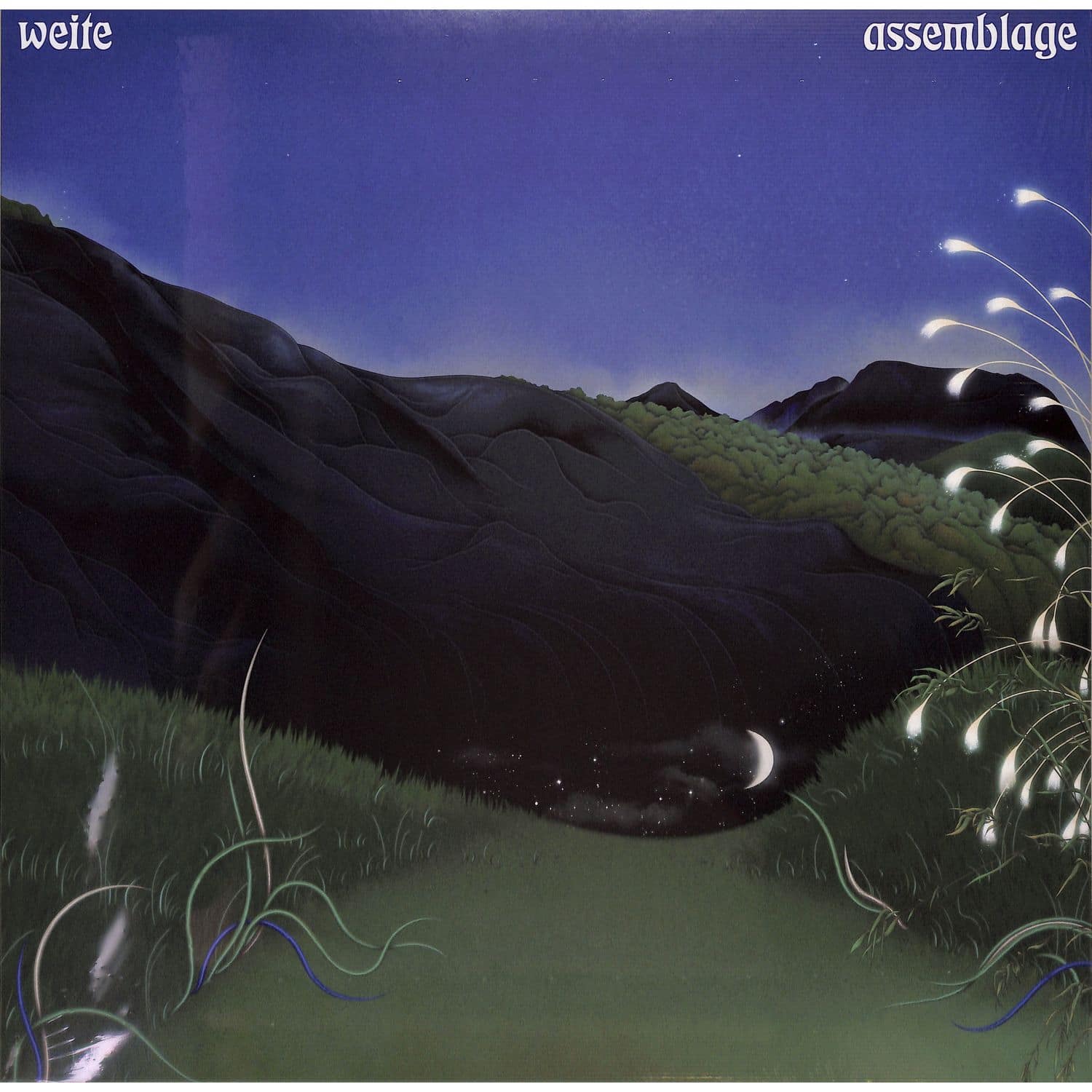 Weite - ASSEMBLAGE 