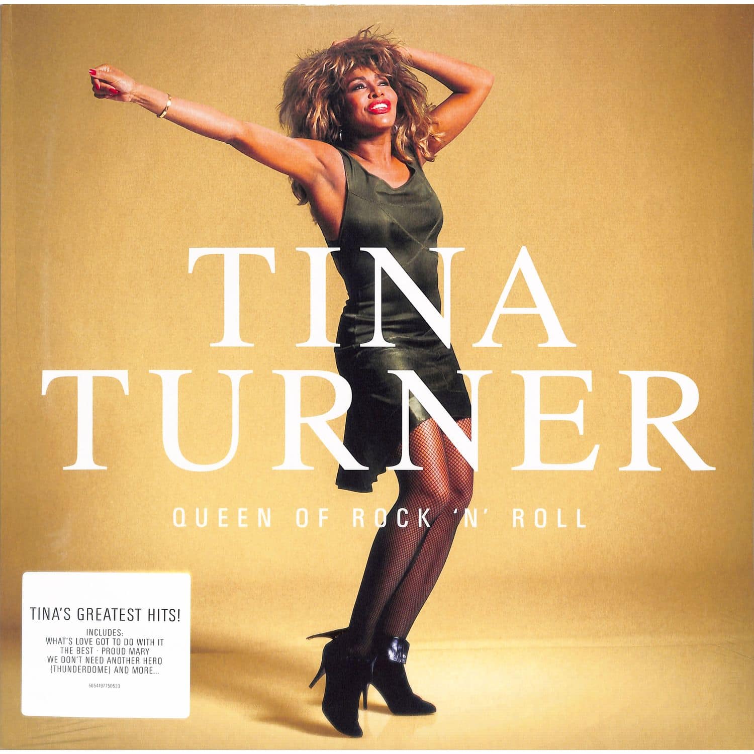Tina Turner - QUEEN OF ROCK N ROLL 