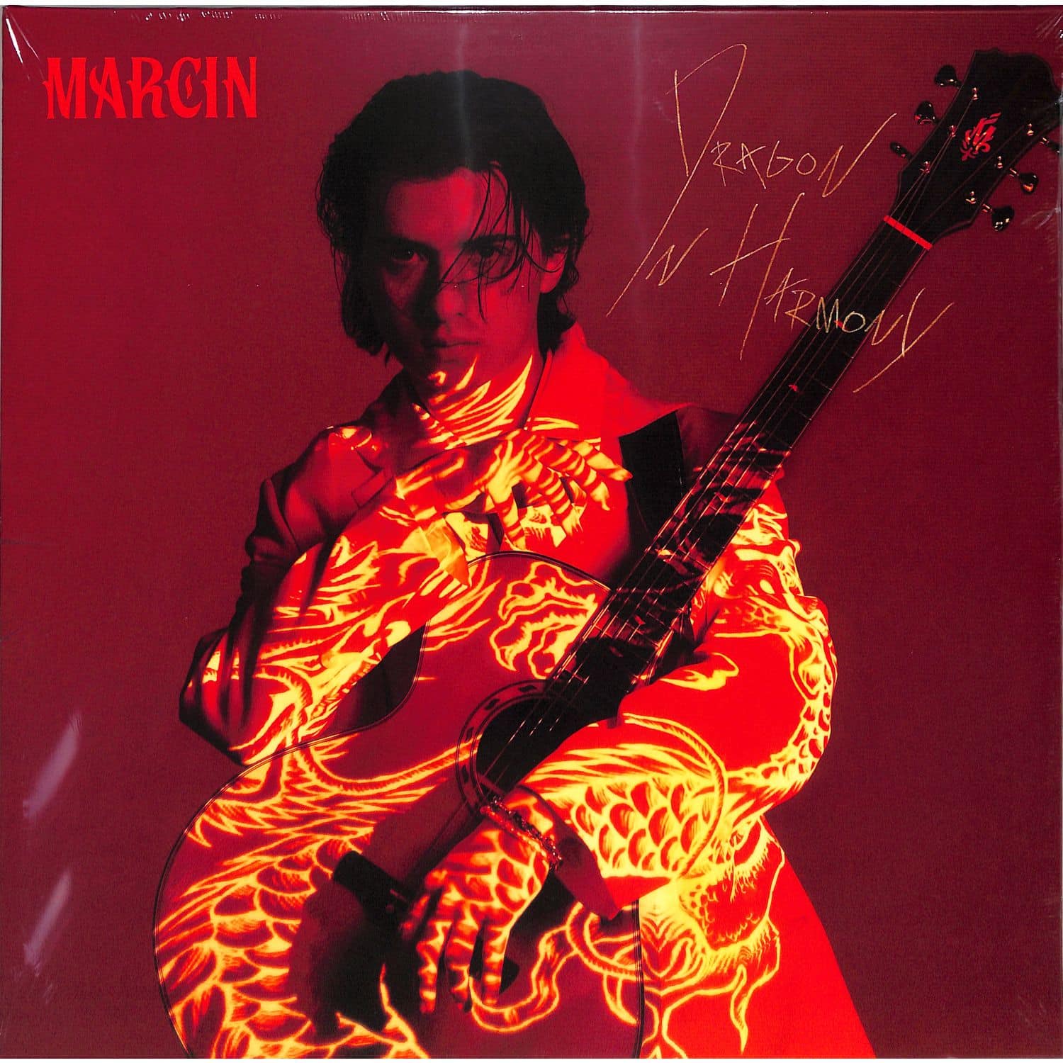 Marcin - DRAGON IN HARMONY 