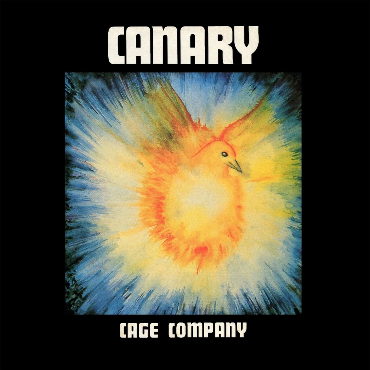 Canary - CAGE COMPANY 