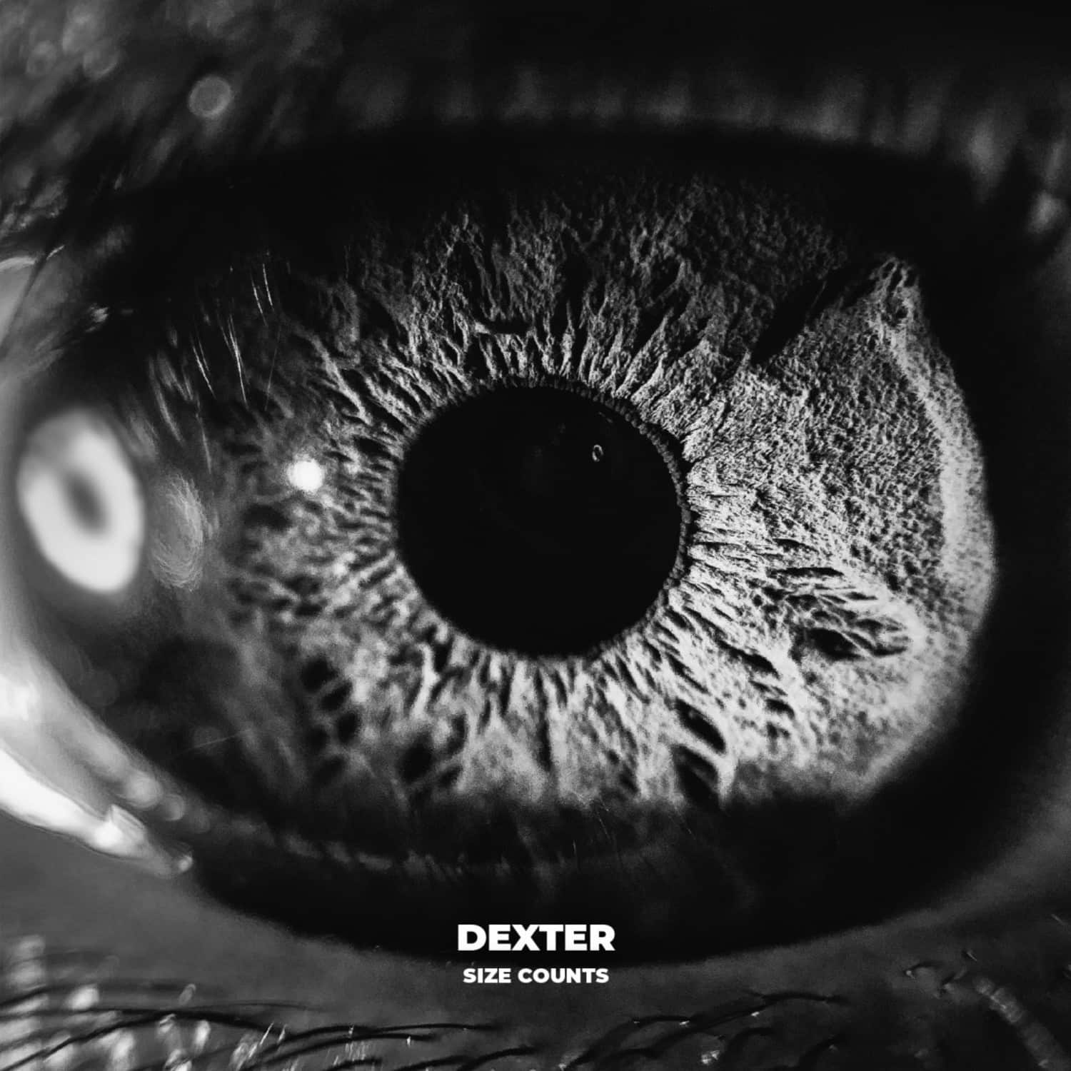 Dexter - SIZE COUNTS