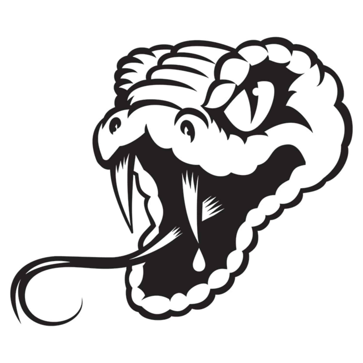 Unknown - SLICK VENOM 02