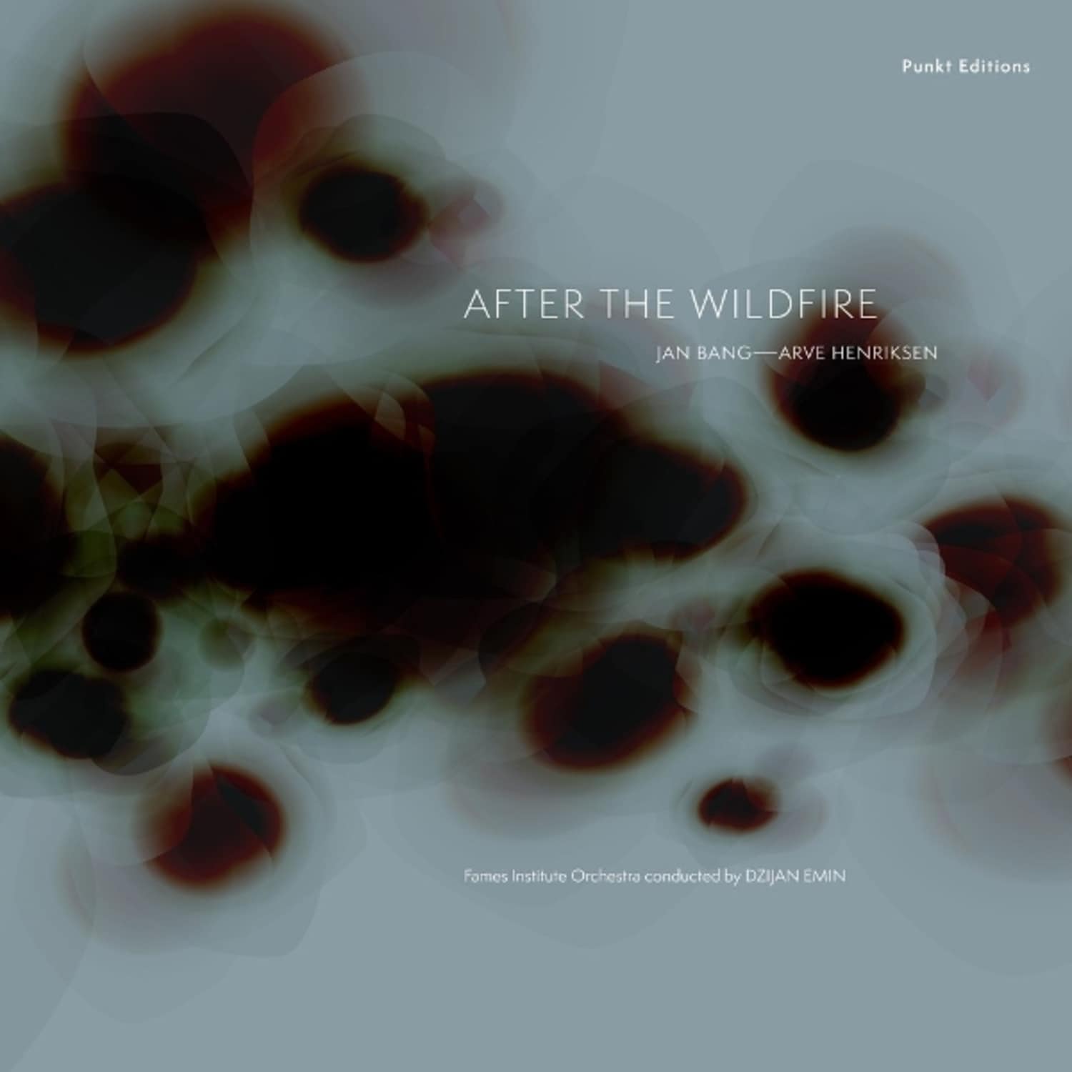 Jan Bang / Arve Henriksen - AFTER THE WILDFIRE 