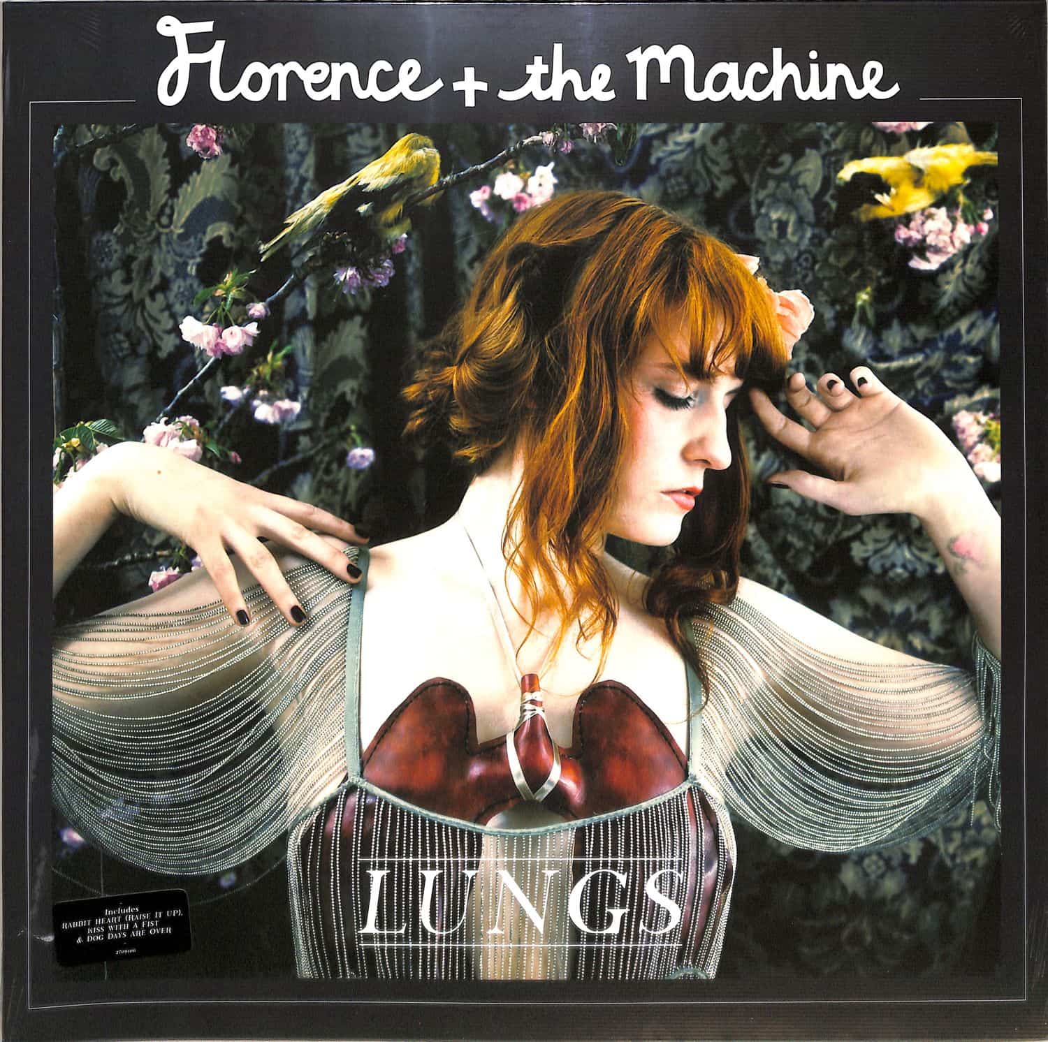 Florence And The Machine - LUNGS 
