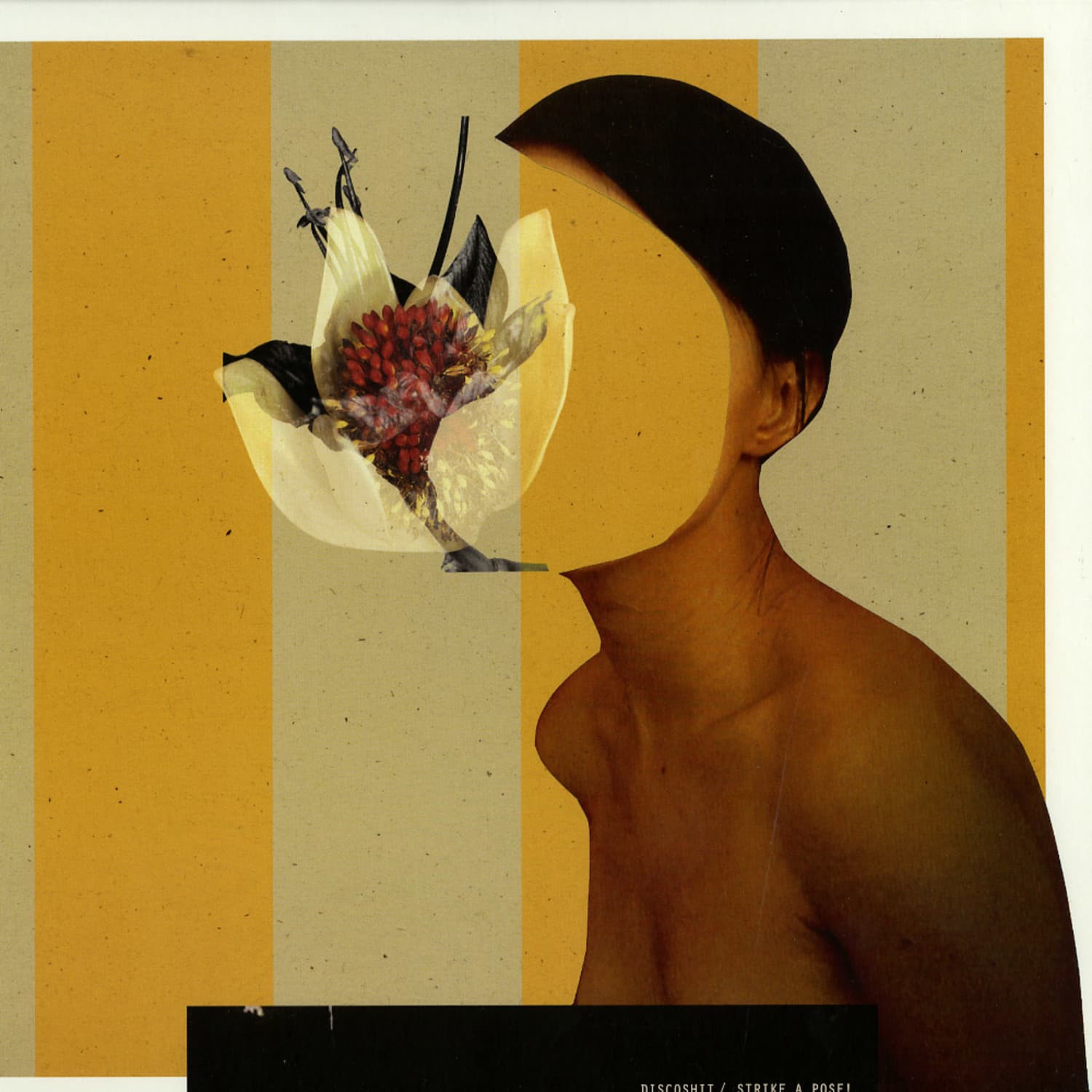 Discoshit - STRIKE A POSE!