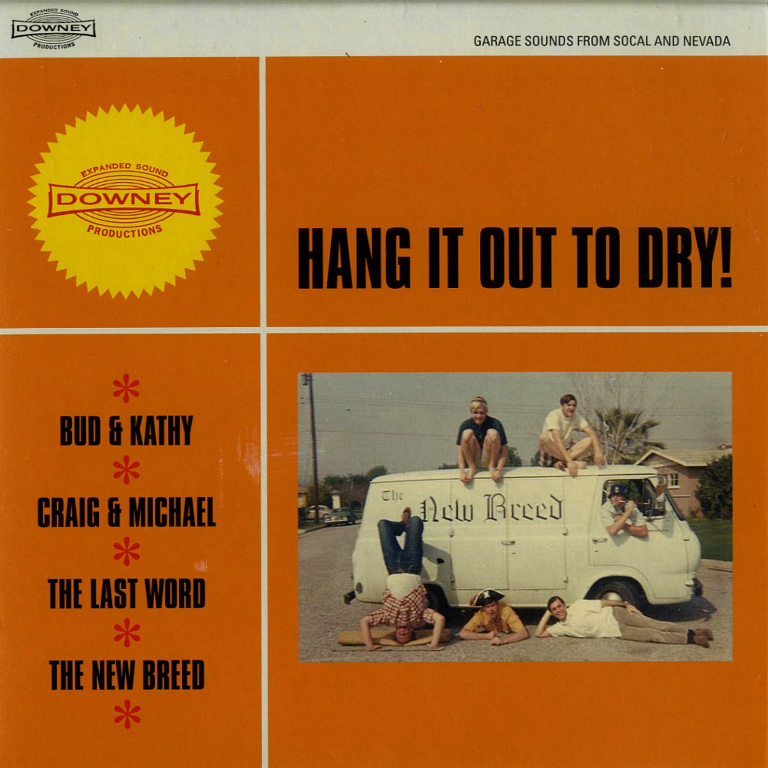 Various Artists - HANG IT OUT TO DY! 